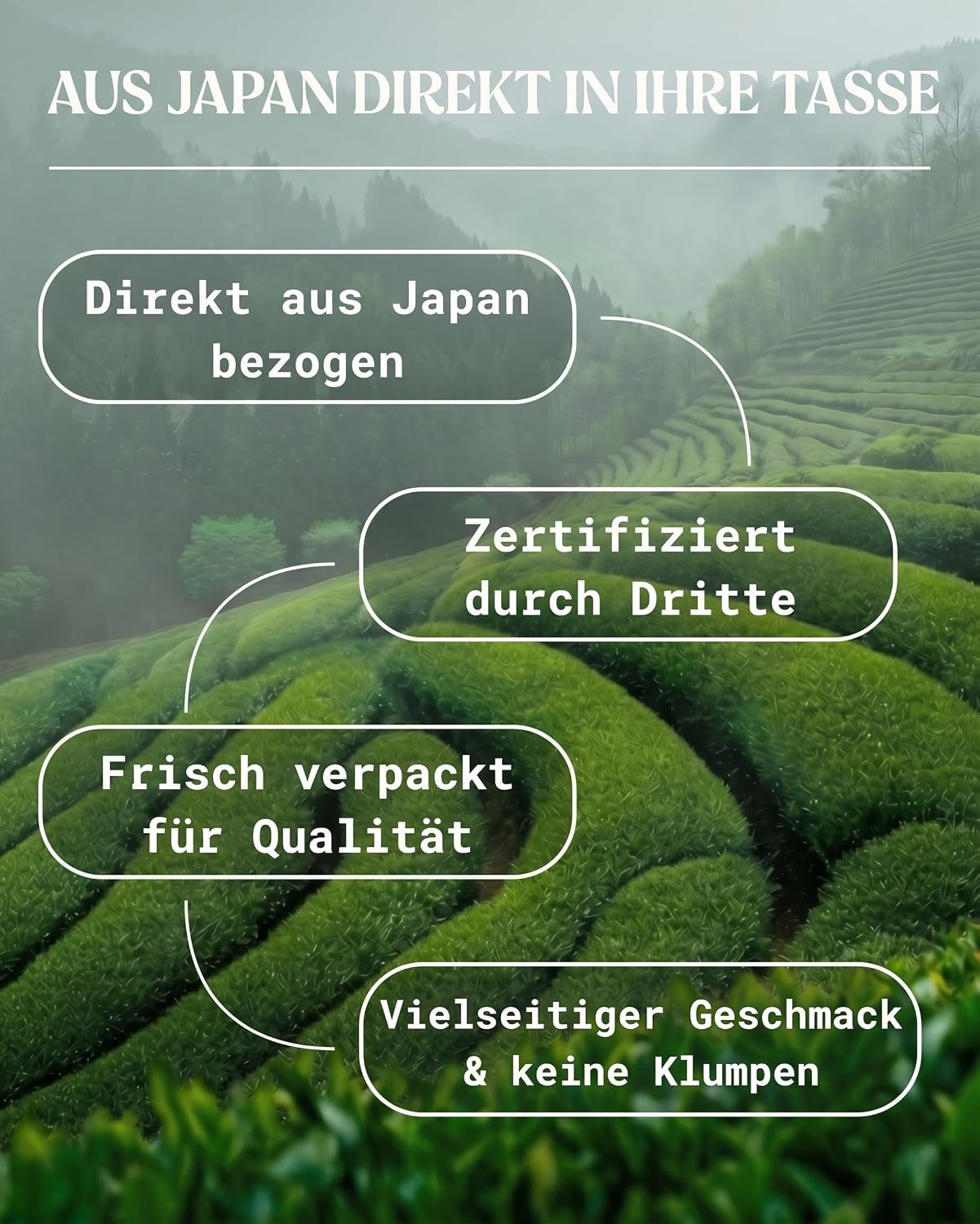 Detalle de NaturaleBio Matcha Tee Pulver Bio aus Japan (Uji, Kyoto) – 200 g für Latte, Smoothies & Matcha-Getränke