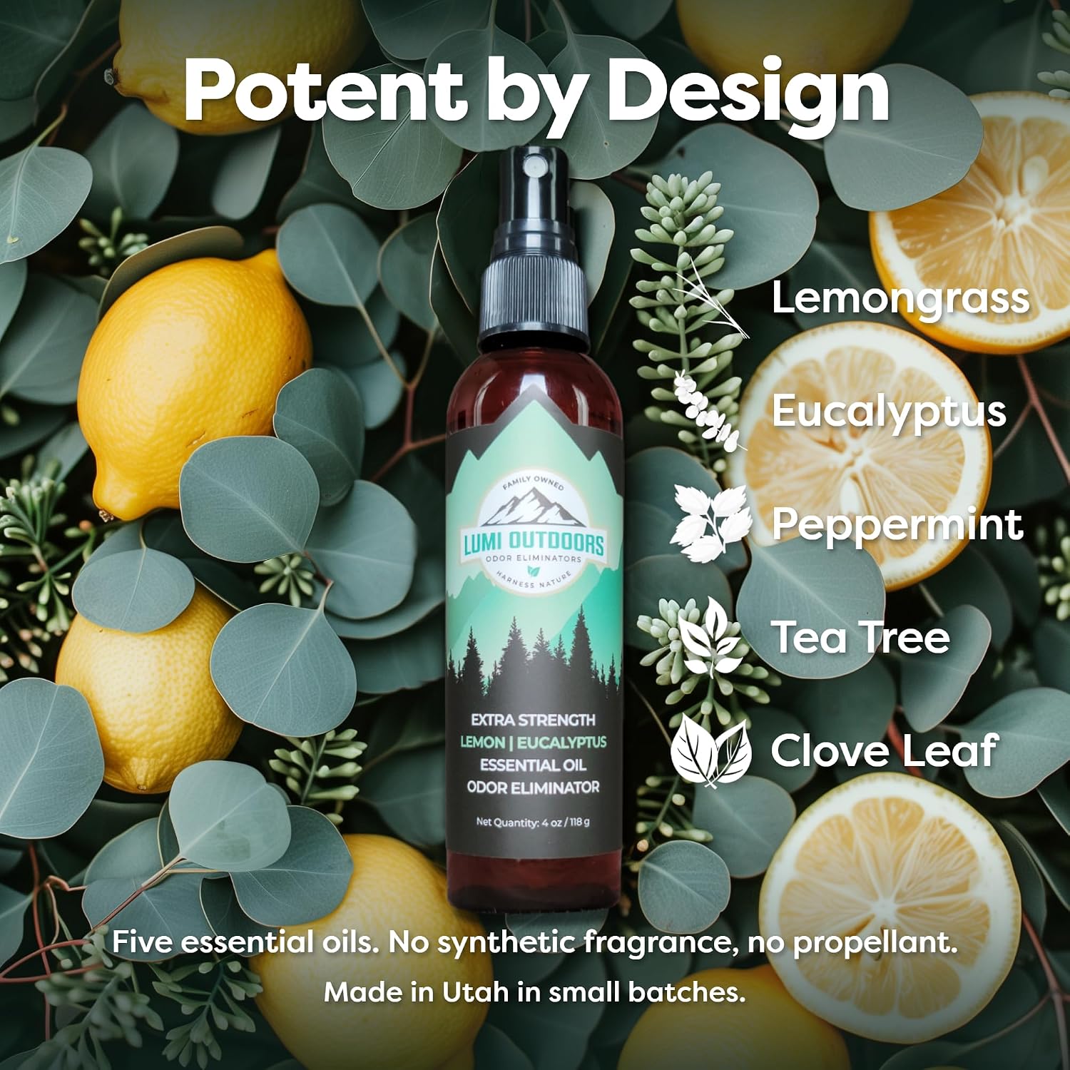 Detalle de Lumi Outdoors FBA_LYSB013TSRYUS-SPRTSEQIP Shoe Deodorizer Spray, 4 oz, Lemon Eucalyptus