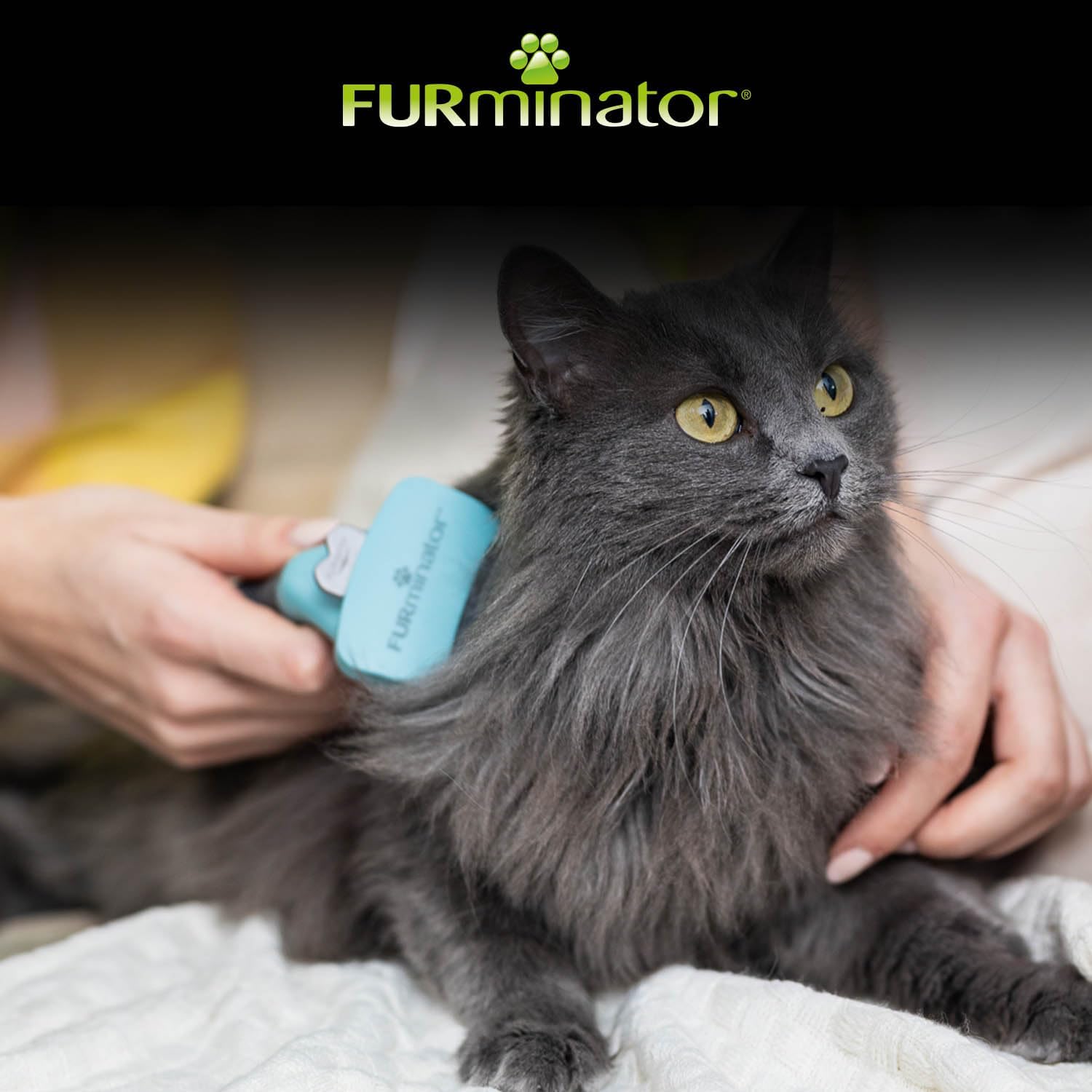 Detalle de FURminator Outil de Toilettage pour Chat à Poils Longs de Petite Taille – Brosse Anti-mue S ergonomique