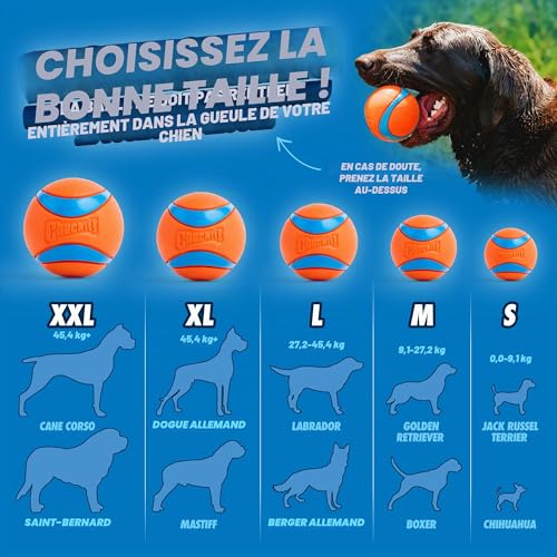 Thumbnail 4 de Chuckit! Ultra Balls Taille Moyenne – Lot de 2 pour tous les chiens