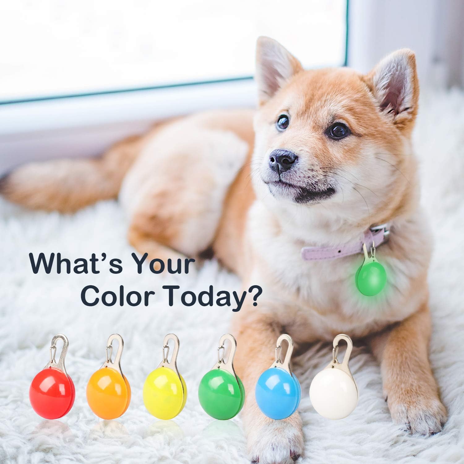 Detalle de MENNYO LED Dog Collar Light 6-pack for Collars