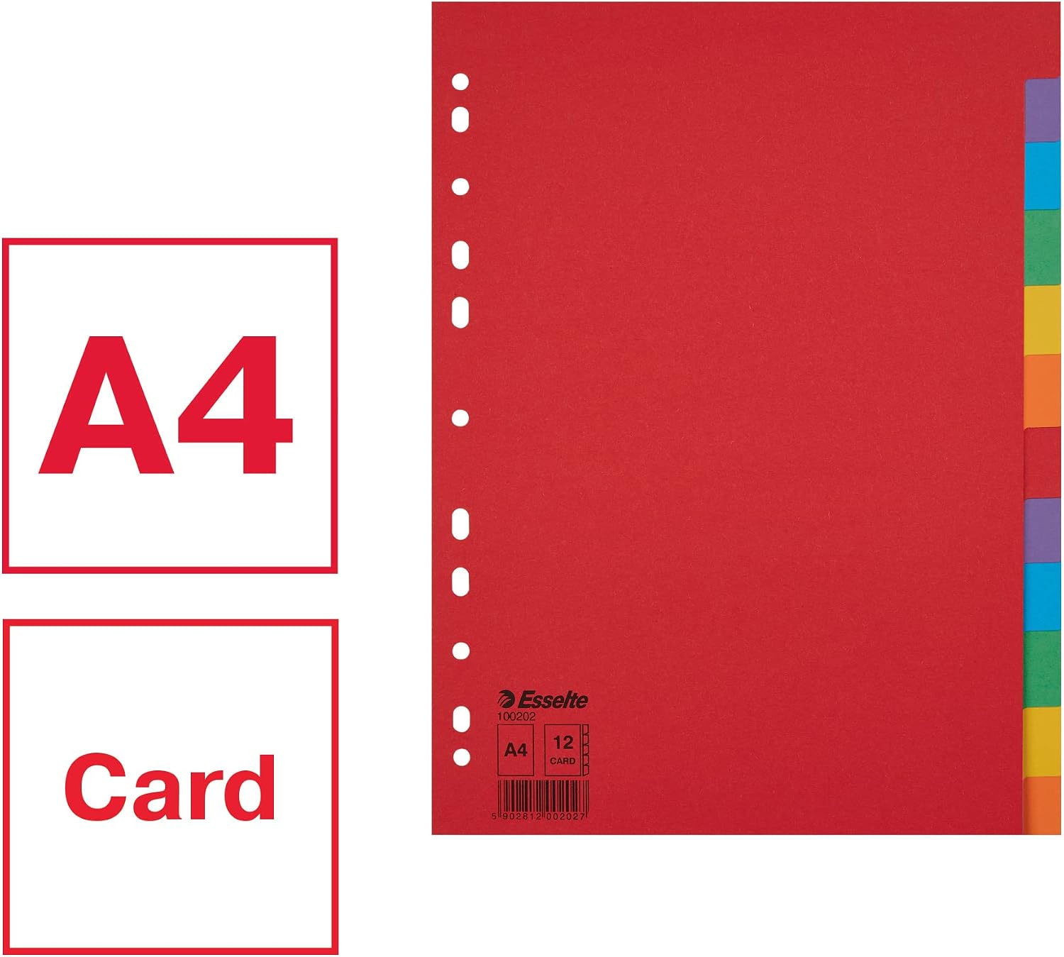 Detalle 2 de Esselte – 10 jeux d'intercalaires A4 12 touches multicolore, carton résistant (100202)