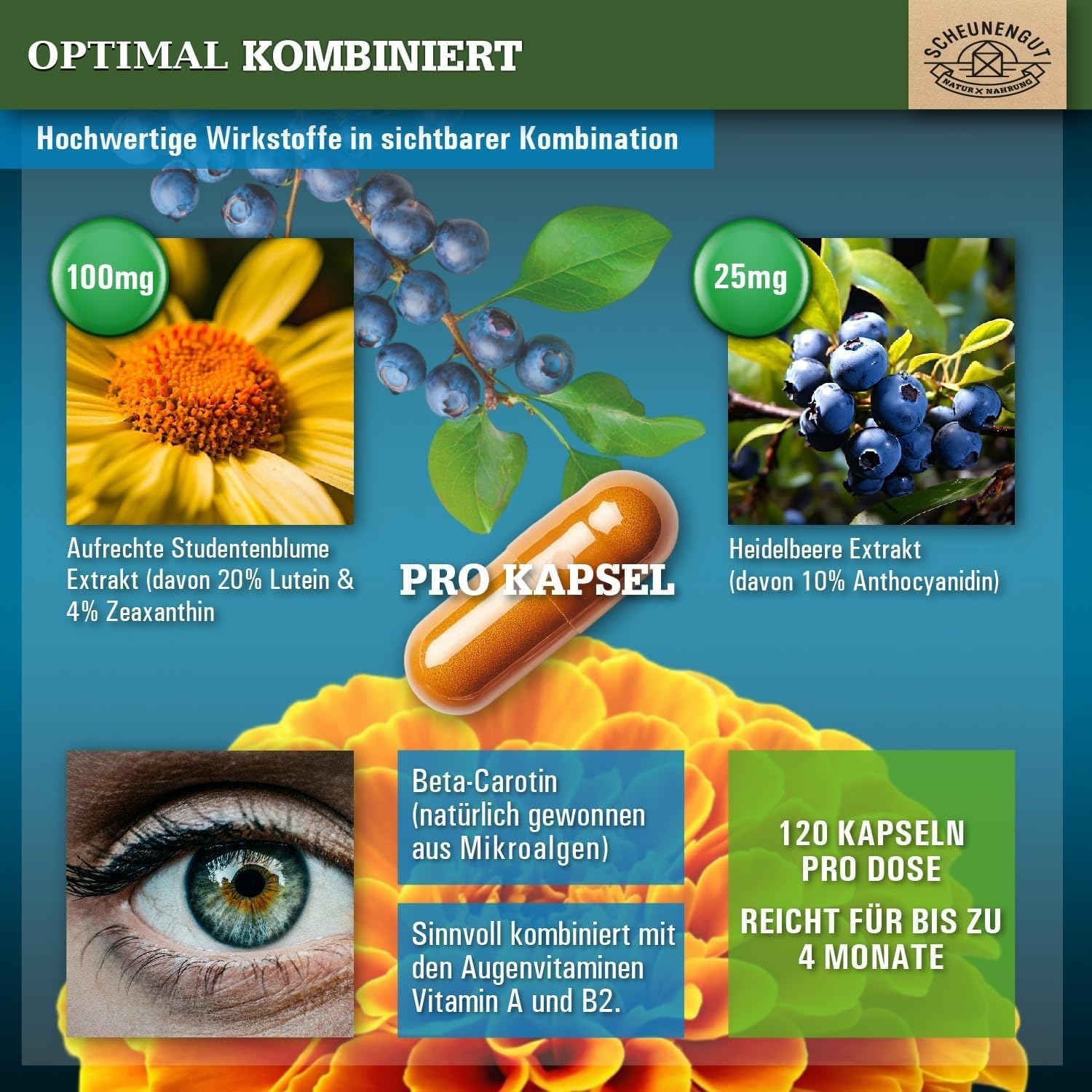 Detalle 2 de ADLERAUGE® Augenvitamine 120 Kapseln