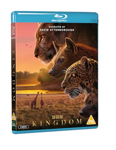 Detalle 1 de Kingdom by BBC — An Insightful Pick for Everyday Viewing