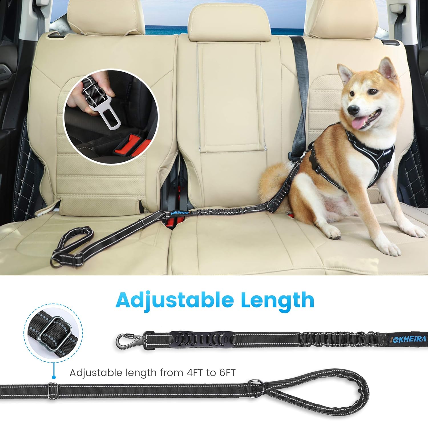 Thumbnail 5 de Iokheira Bungee Dog Lead 4-6 Ft