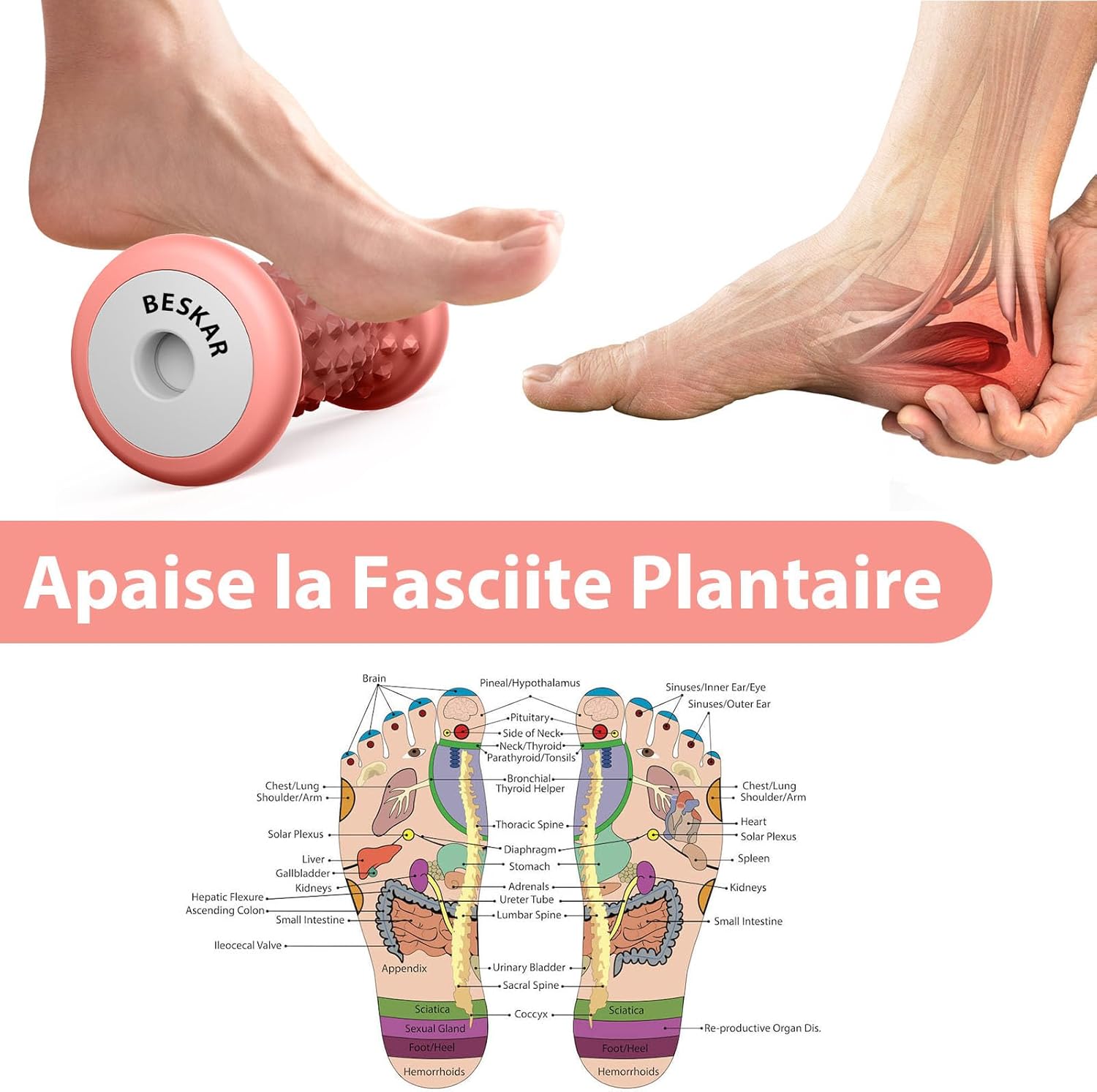 Detalle de Rouleau Massage Pied pour la Voûte Plantaire – Acupression et Réflexologie, Silicone Dur, Soulagement Fasciite Plantaire