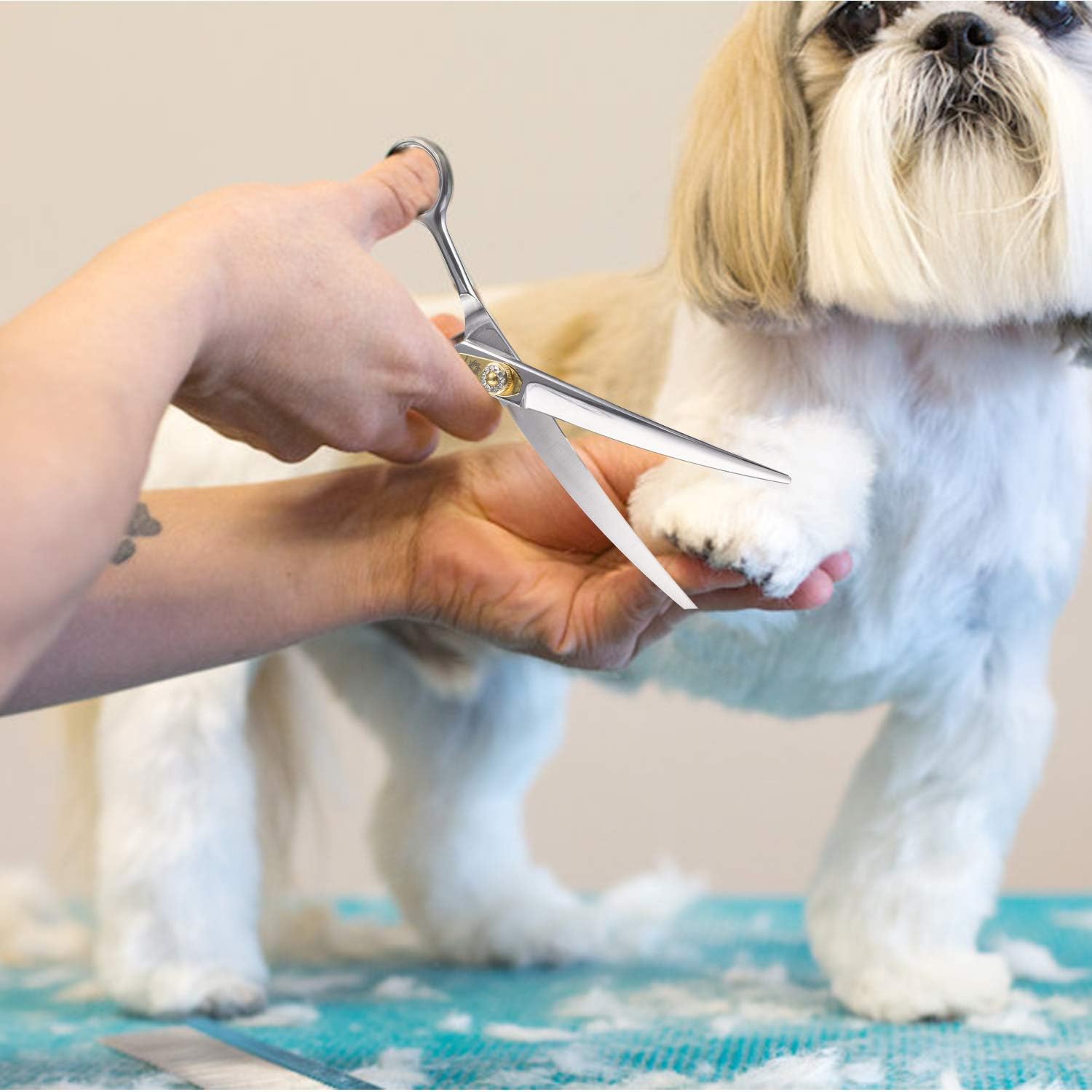 Thumbnail 6 de Dream Reach Professionelle Fellschere (gebogene 7-Zoll-Schere, 440C Edelstahl) für Hund & Katze