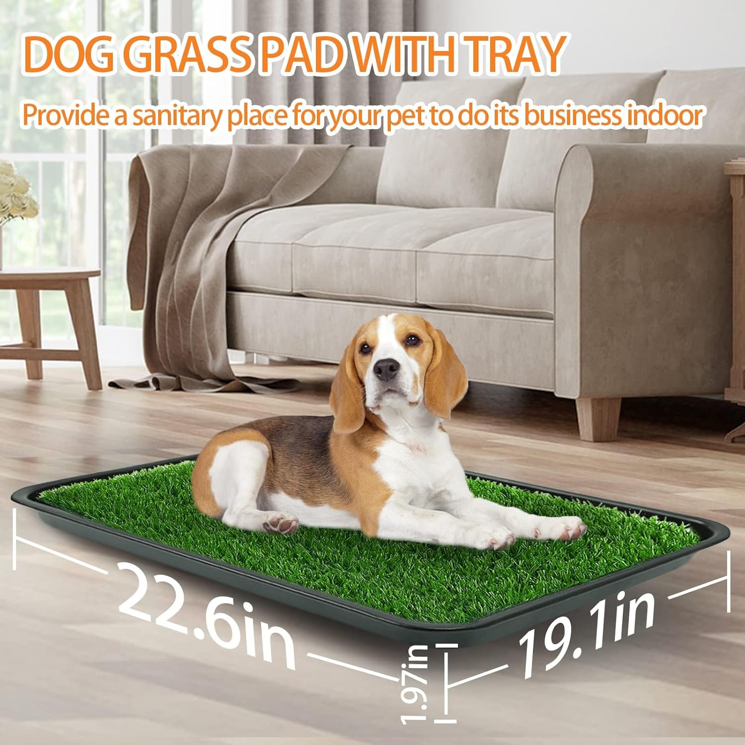 Thumbnail 1 de STARROAD TIM 50x60 cm Dog Grass Pad with Tray for indoor or outdoor potty training