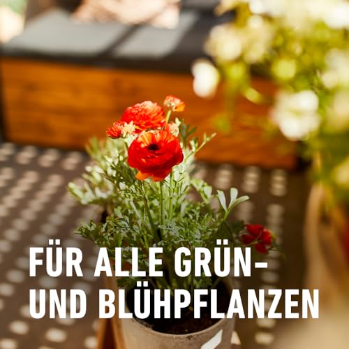 Detalle de COMPO Grün- und Blühpflanzen Schädlings-frei AF 750ml – Hochwirksamer Schutz für Zierpflanzen