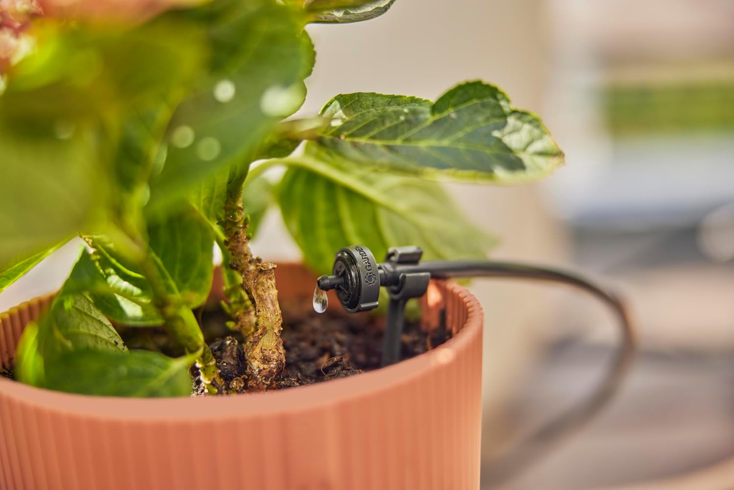 Detalle de Gardena Kit Irrigazione a Goccia da Balcone Micro-Drip-System 13450-20: irrigazione mirata per 15 vasi