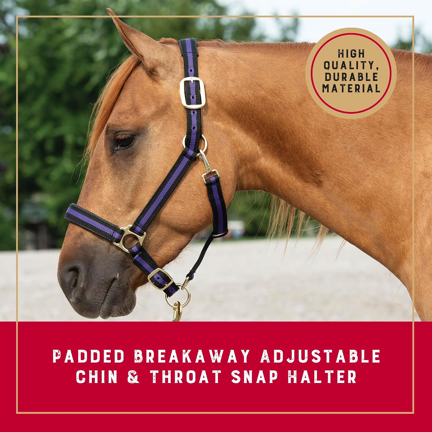 Detalle 2 de Weaver Leather Equine Breakaway – zrywalny kantar dla konia, średni, fioletowy