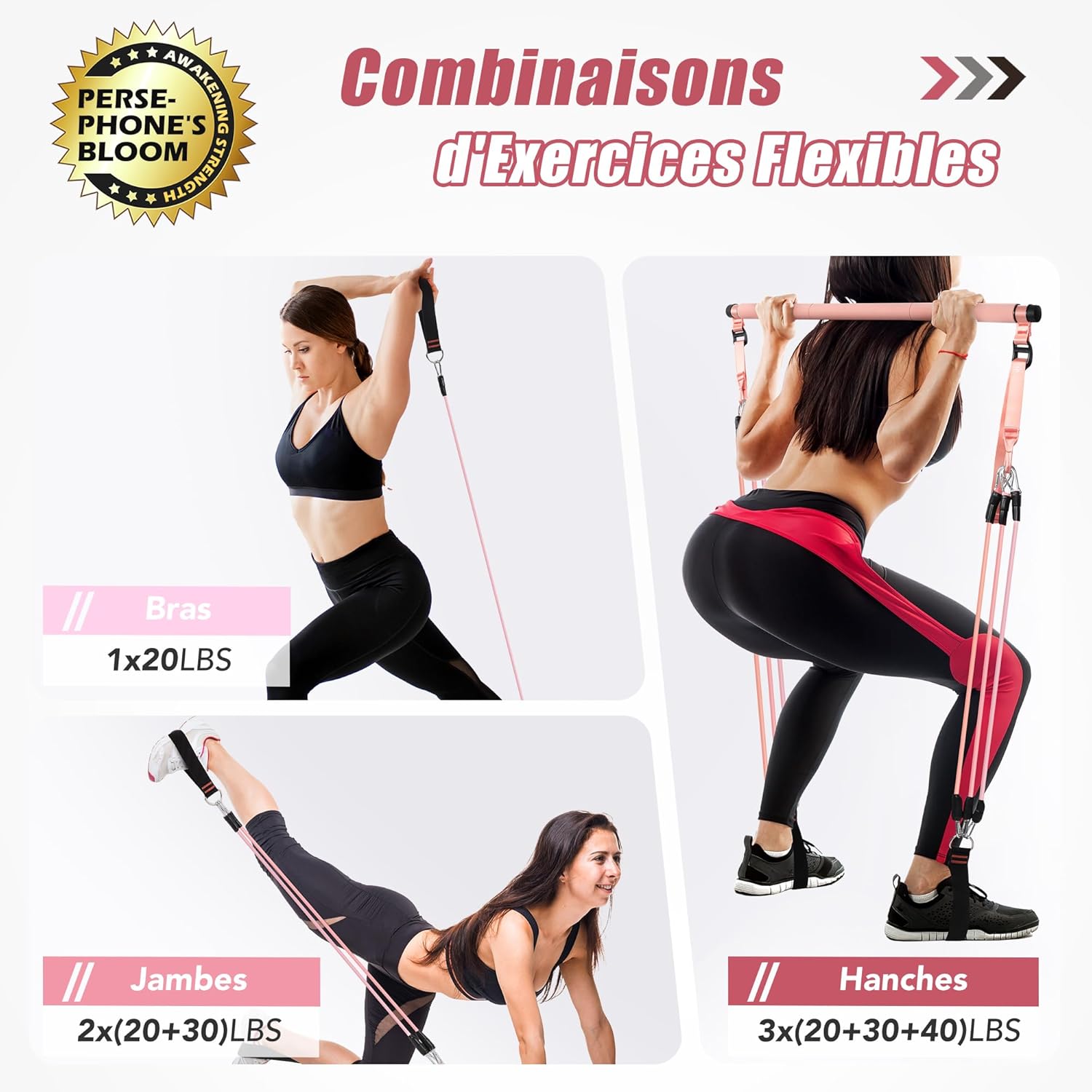 Thumbnail 1 de ALongSong kit Pilates maison avec barres inox, 6 élastiques 20–180 lbs et ancrage de porte