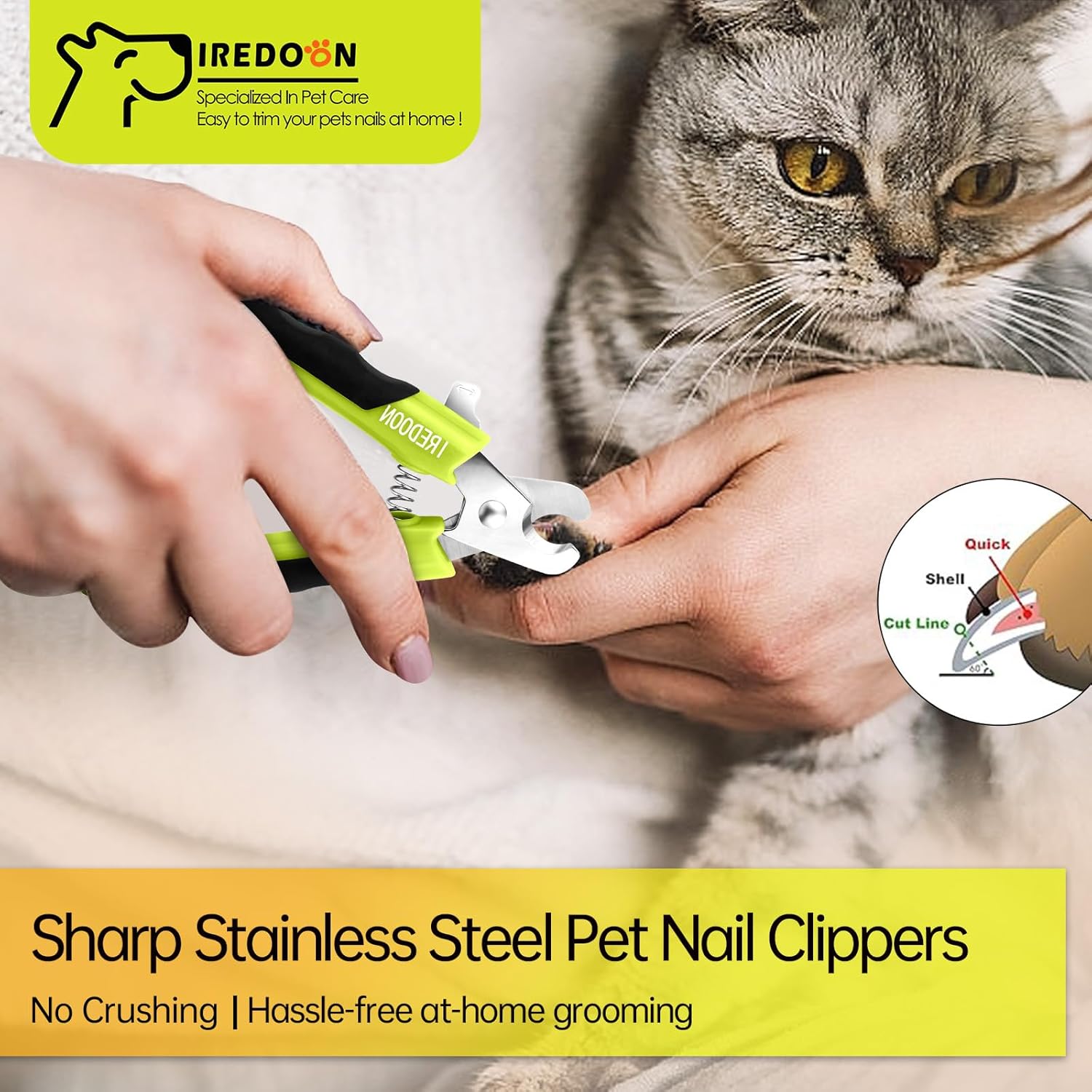 Thumbnail 3 de IREDOON Dog & Cat Nail Clippers with 4Cr13 Stainless Steel Blade (Green) – Small, Non-Slip, Quiet & Pro-Grade