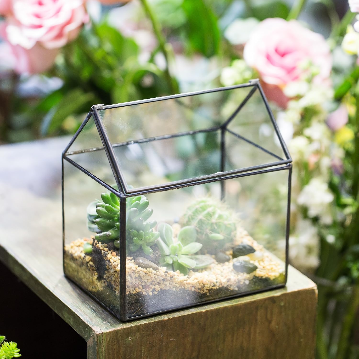 Thumbnail 4 de NCYP Small Closed Glass Geometric Terrarium with Swing Lid for Succulents and Moss