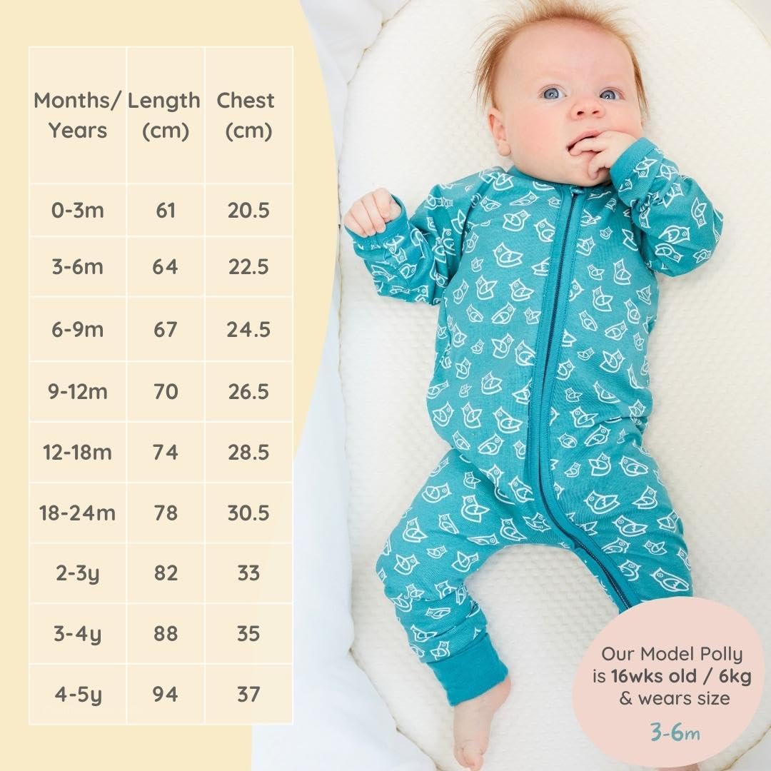 Thumbnail 4 de Bramble & Bear 2-Pack Toddler & Baby Sleepsuits – Organic Cotton, Full Zip & Foldable Feet