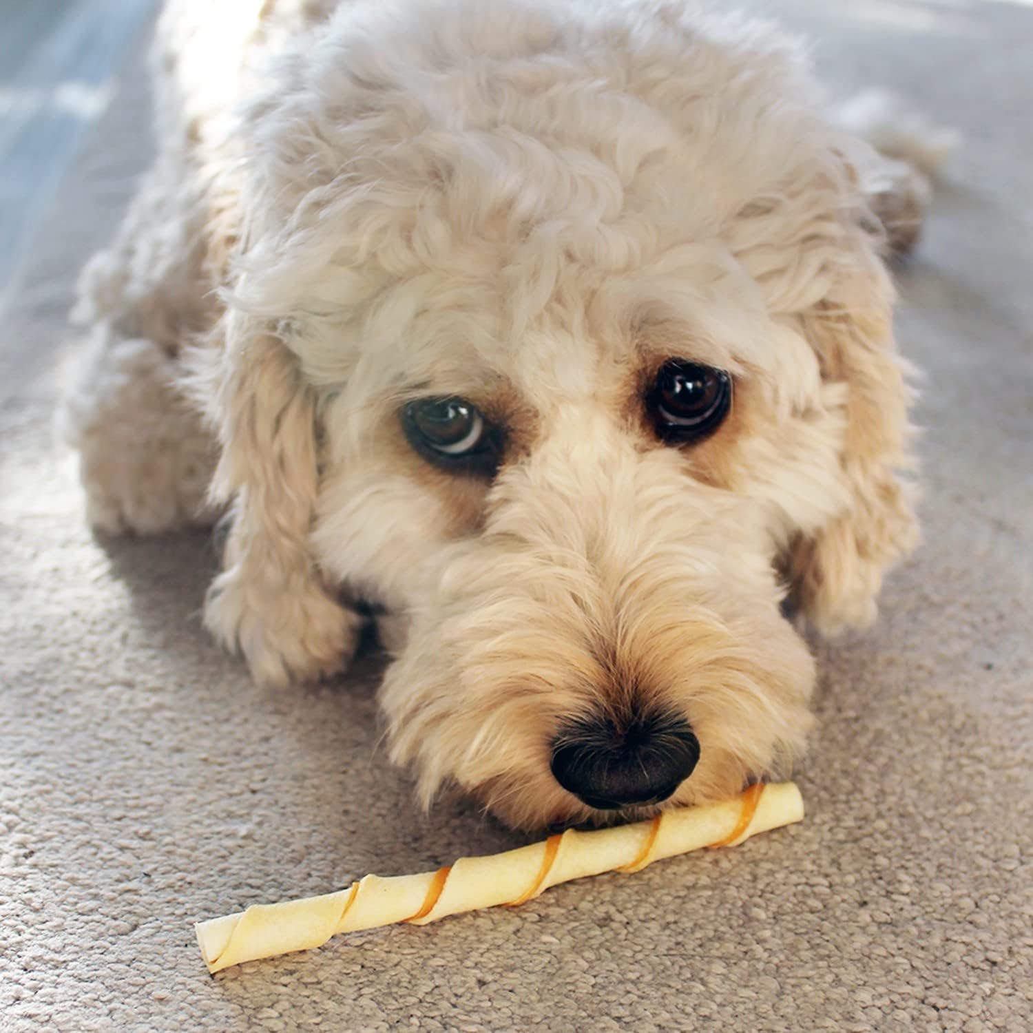 Thumbnail 5 de 8in1 Pro Dental Twisted Sticks - Bastoncini da Masticare Sani per Cani, 35 Pezzi