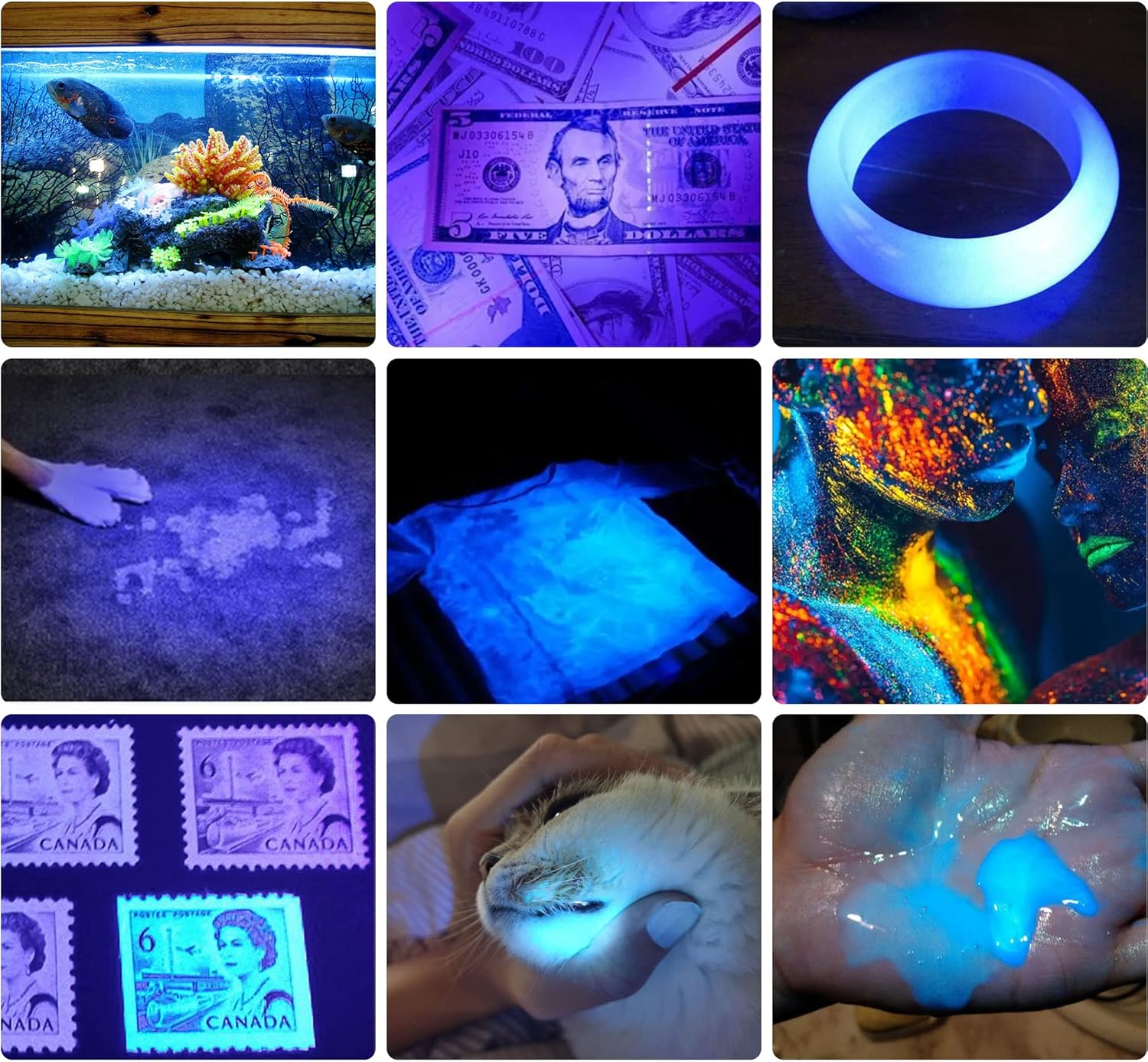 Detalle 2 de DARKBEAM UV 365nm blacklight torch for spots