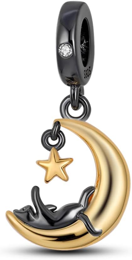 Detalle de Pandach Charm Anhänger 925 Silber C2