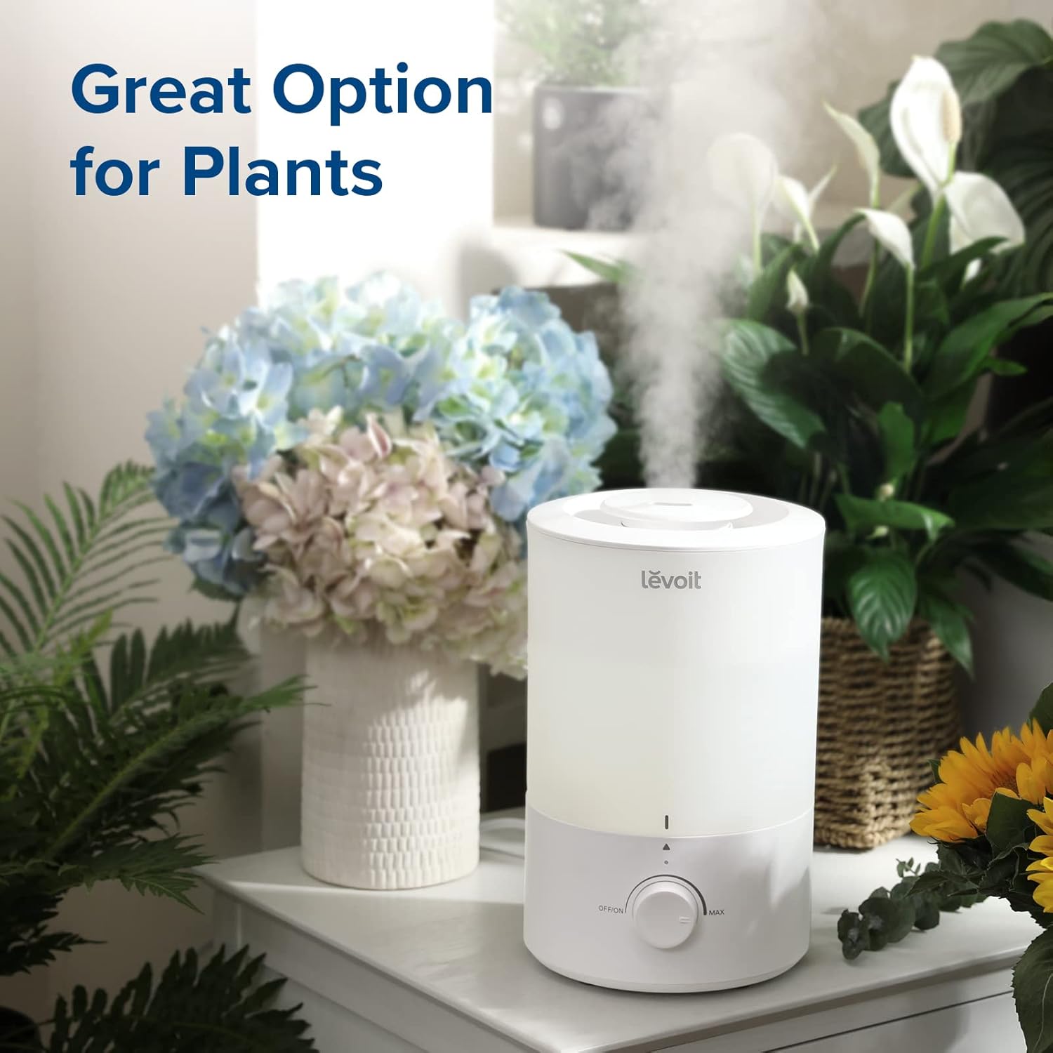 Thumbnail 6 de LEVOIT 3L Quiet Cool Mist Humidifier 💧
