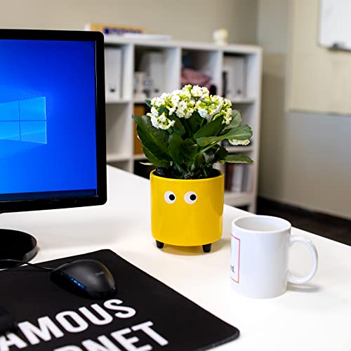 Thumbnail 2 de Fisura Macetero Original ojos amarillo 13×12,5 cm 🌱