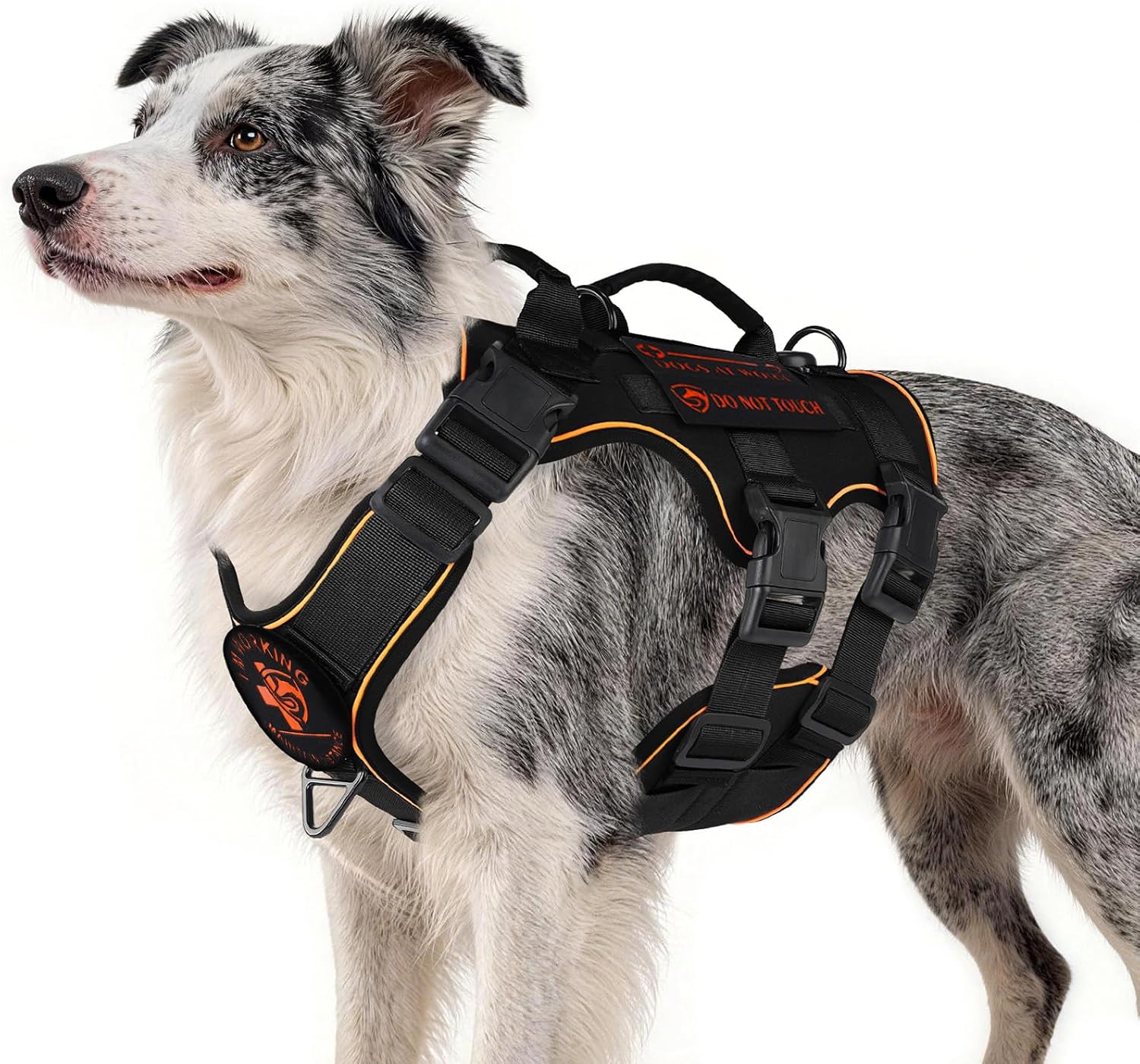Detalle de Dog Harness, Size M