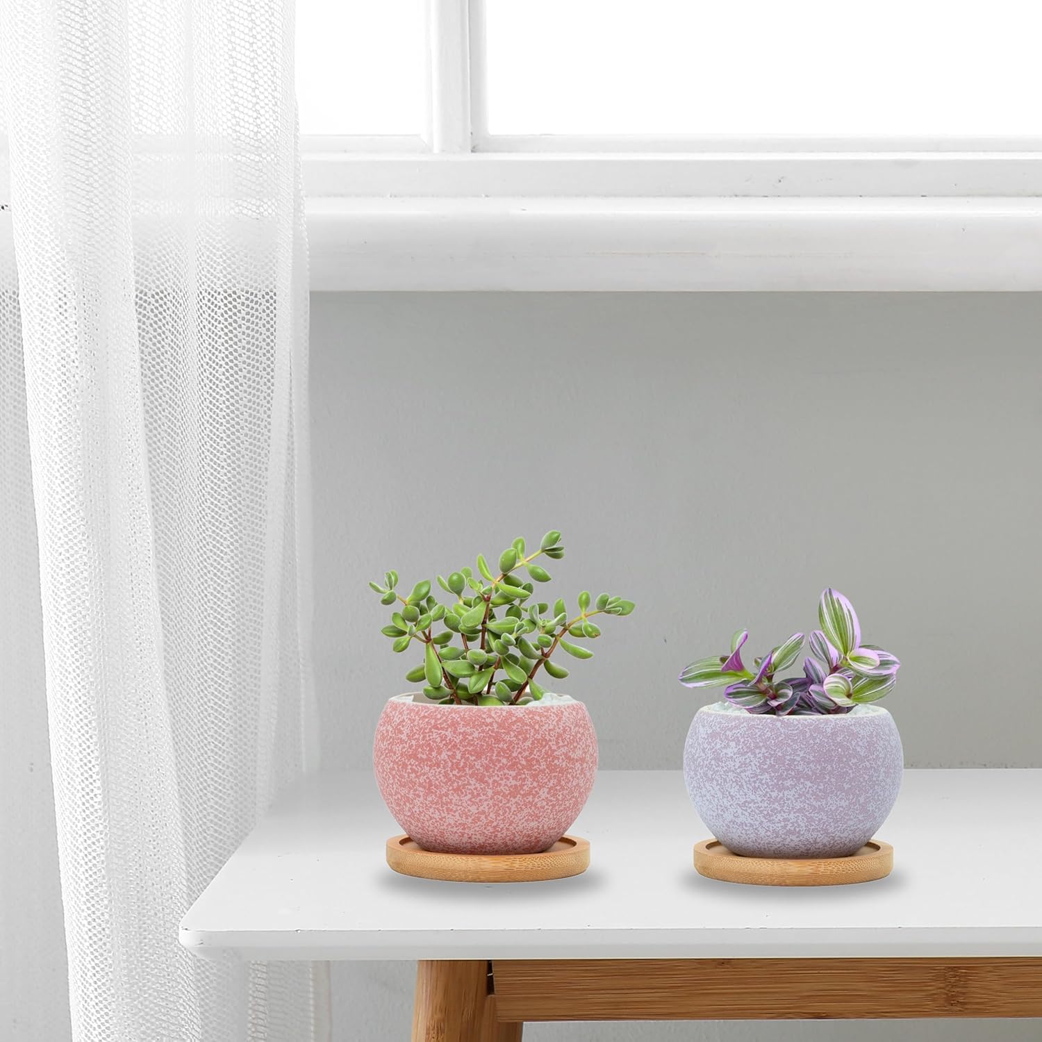 Thumbnail 6 de Thriving Thicket 3" Ceramic Succulent Pots, 6-Pack 🌱