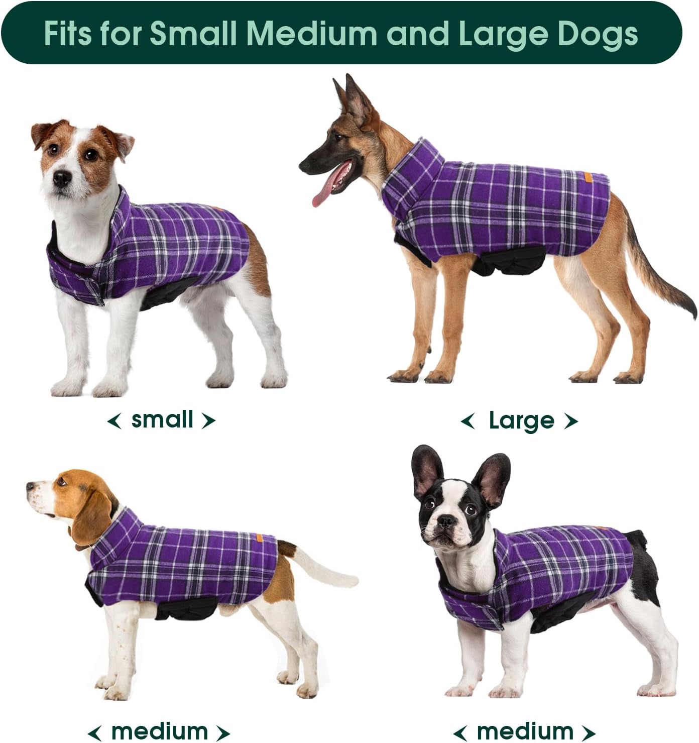 Detalle 1 de Kuoser Dog Coat, 2XL