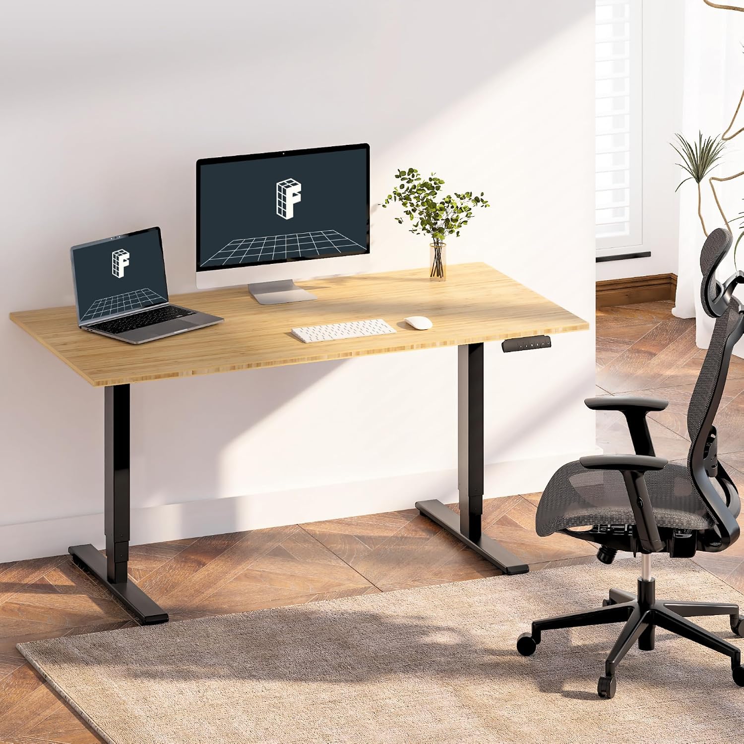 Detalle 2 de FlexiSpot Electric Standing Desk, 55 x 28
