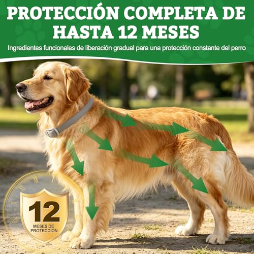 Detalle de BoYata Collar Antiparasitario para Perros 2 Unidades – Protección jusqu 12 Meses con Aceites Naturales