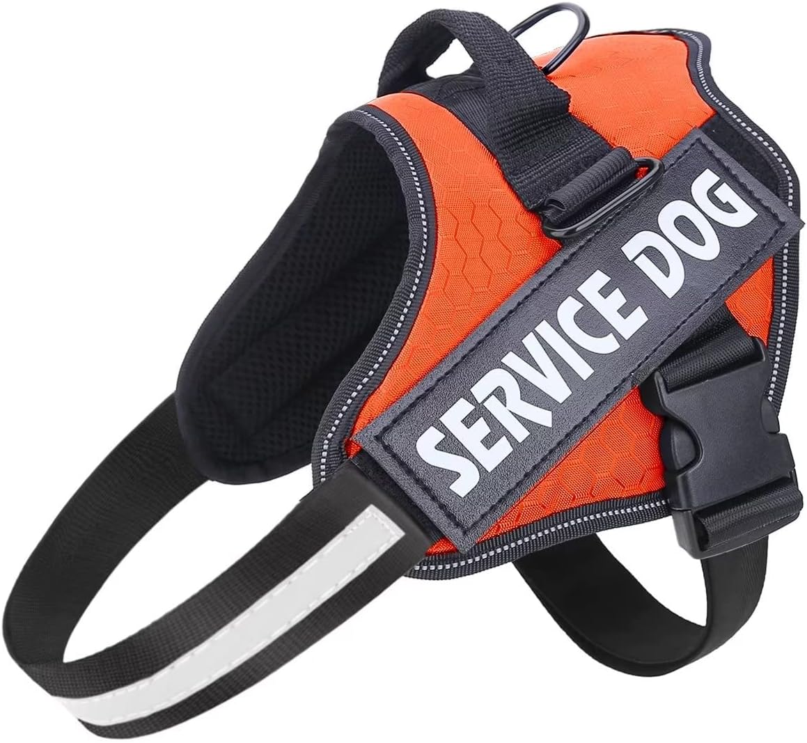 Thumbnail 6 de Belababy Soft No Pull Dog Harness Medium (Blue) with reflective, anti-escape strap and service patches