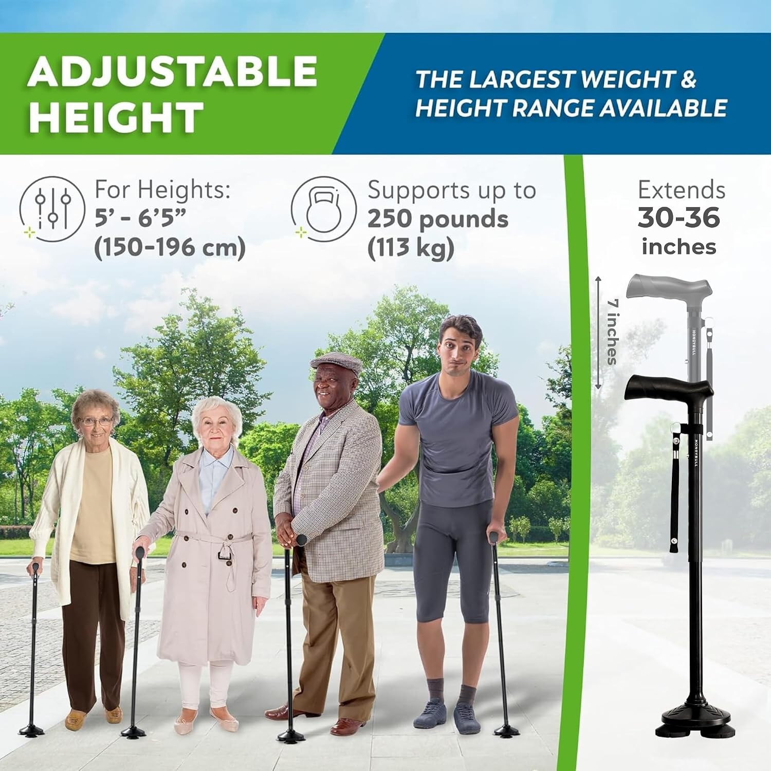 Thumbnail 6 de HONEYBULL Folding Walking Cane: All-Terrain, Adjustable & Heavy-Duty for Seniors and Adults