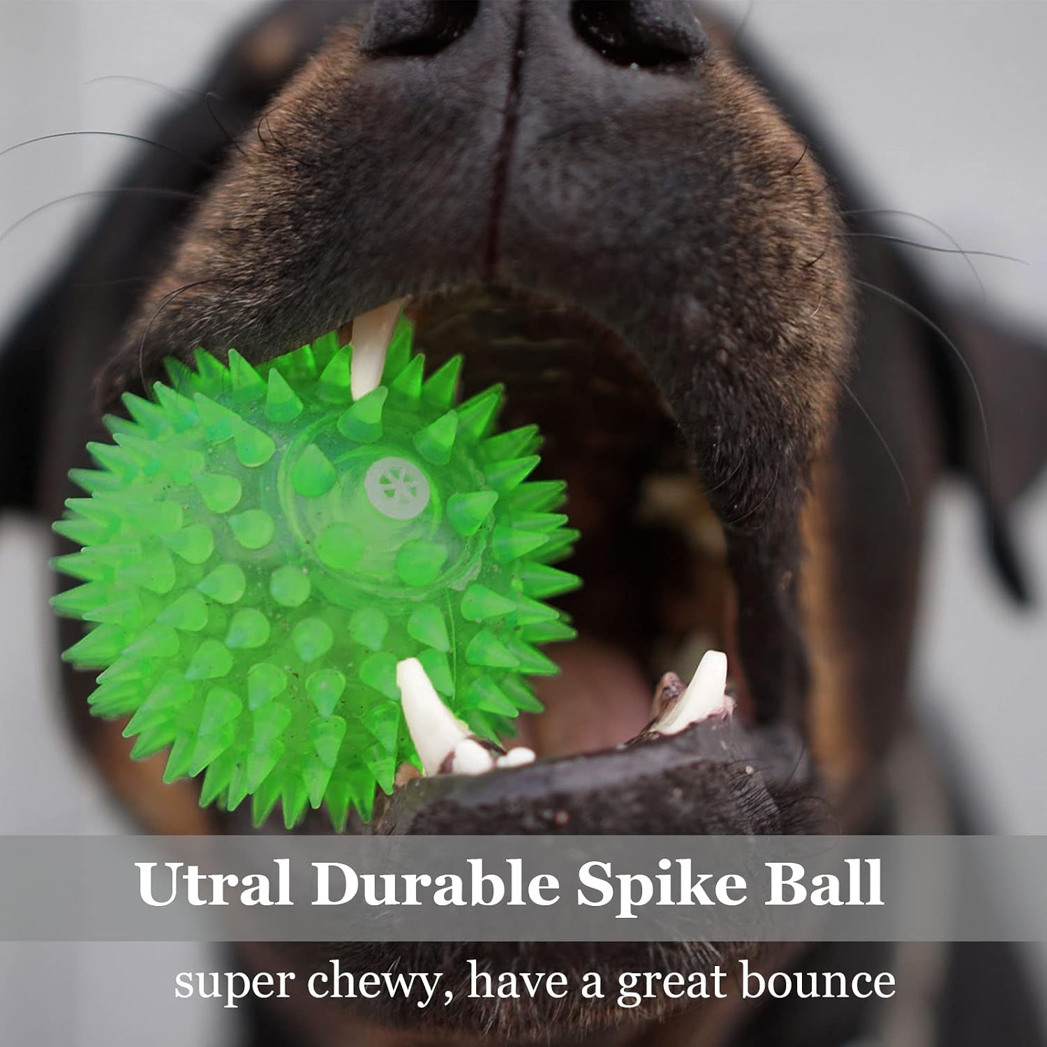 Detalle 2 de LECHONG CIQIU-FT Squeaky Dog Balls, 12-Pack TPR Spiky Toys