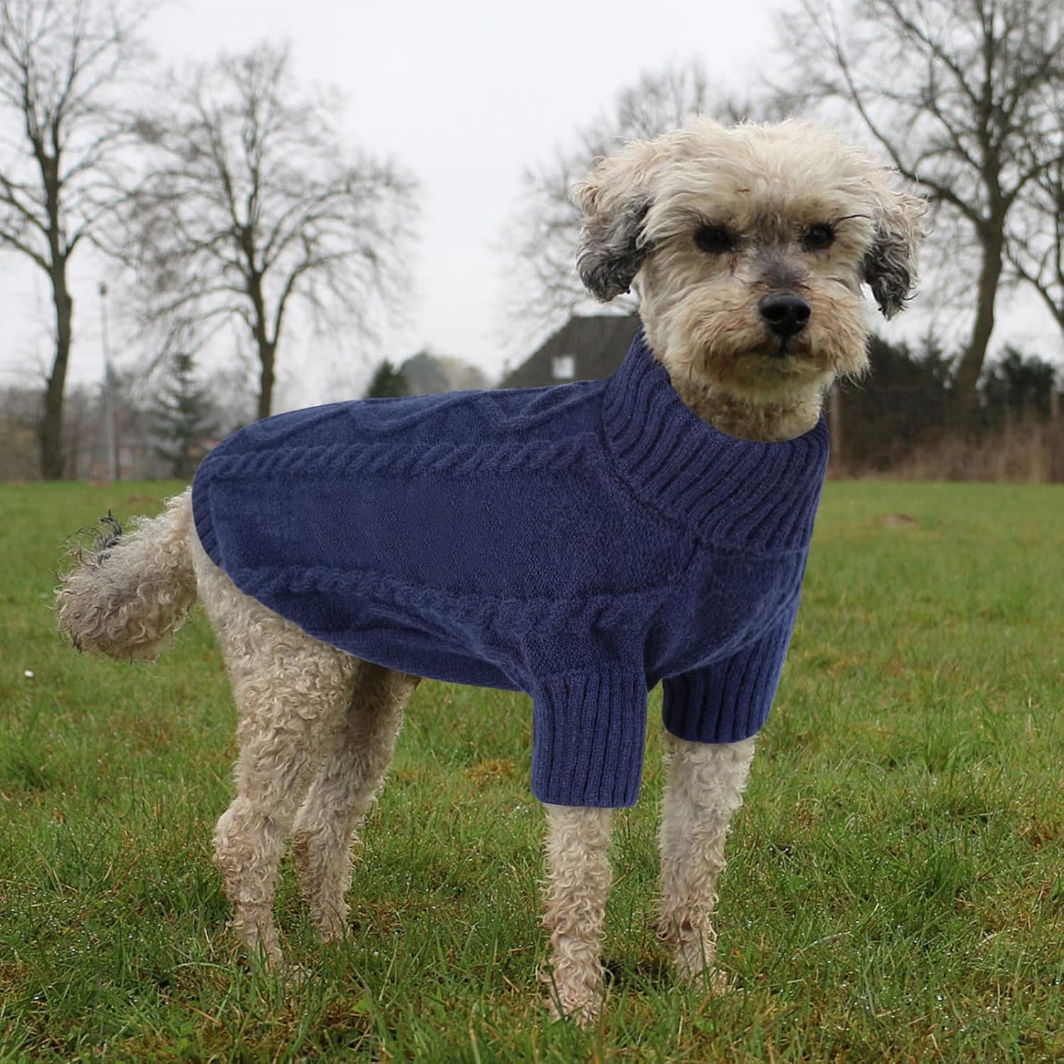 Detalle de Queenmore XS Dog Jumper Knitted Pet Sweater (Turtleneck) – Navy, XS