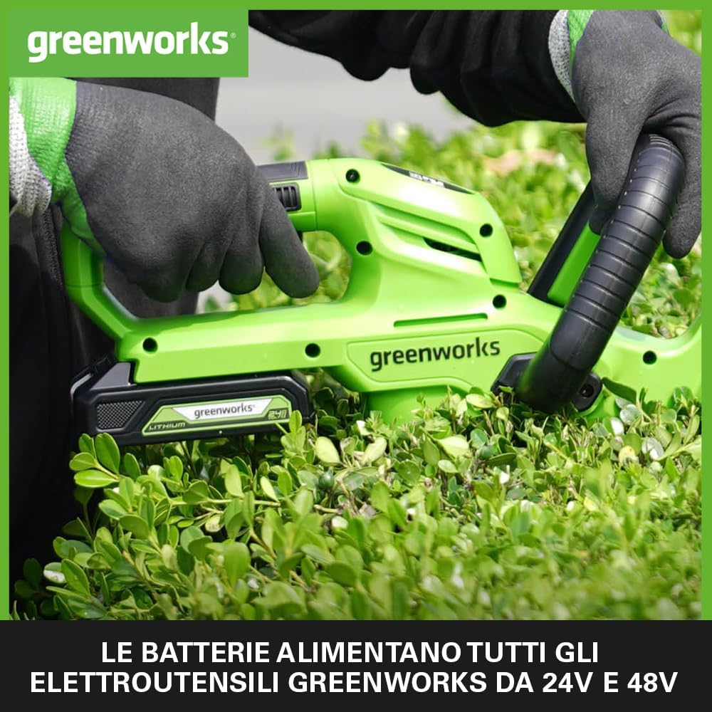 Detalle de Greenworks GSK24B2X batteria 24V 2Ah + caricatore