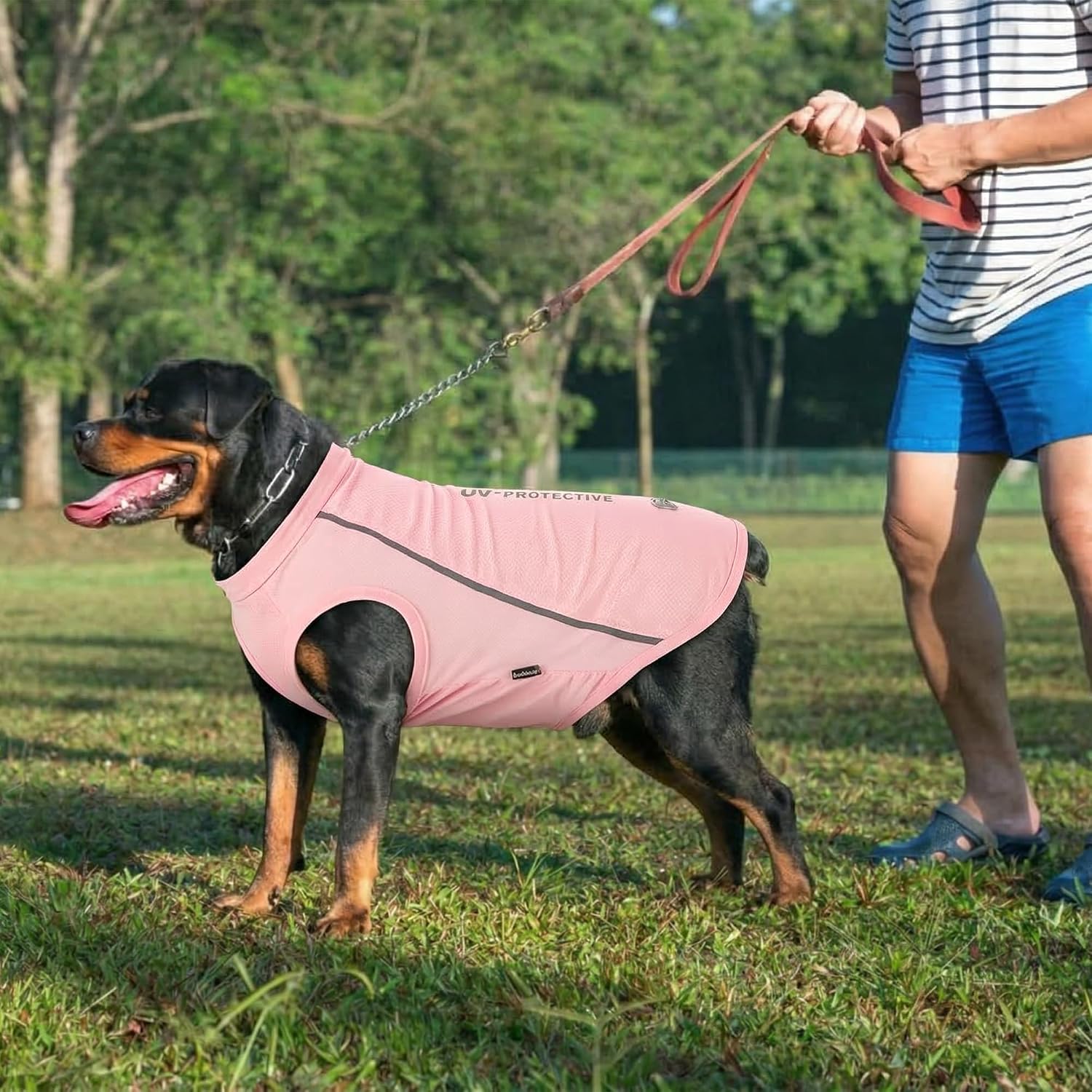 Detalle de BAOBICUTE Dog Shirts