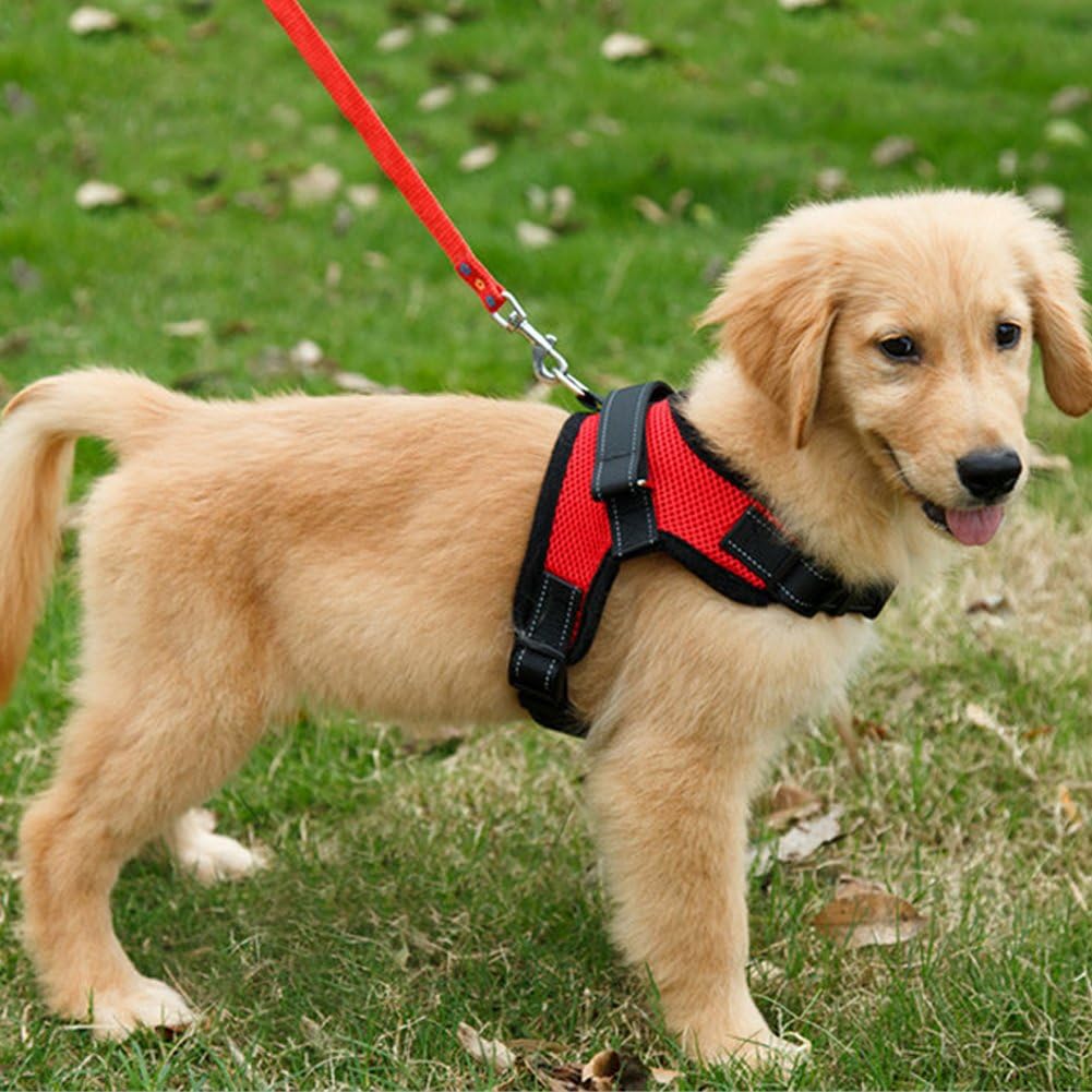 Thumbnail 6 de Dog Harness Mesh Breathable No Pull