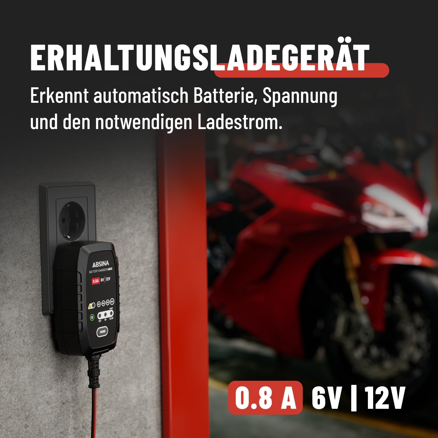 Detalle 2 de ABSINA Roller & Motorrad Ladegerät 800mA 🏍