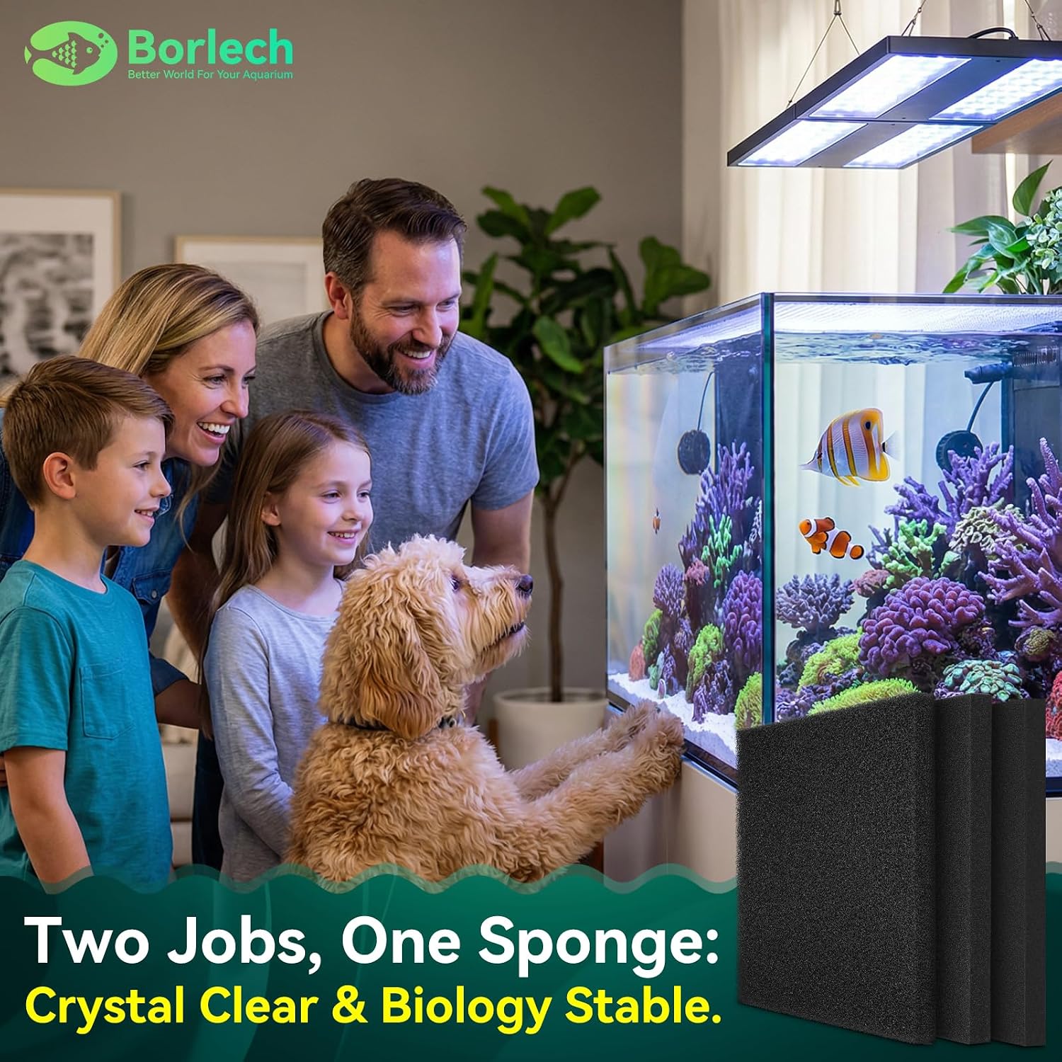 Thumbnail 1 de Aquarium Filter Sponge Pad 50 PPI