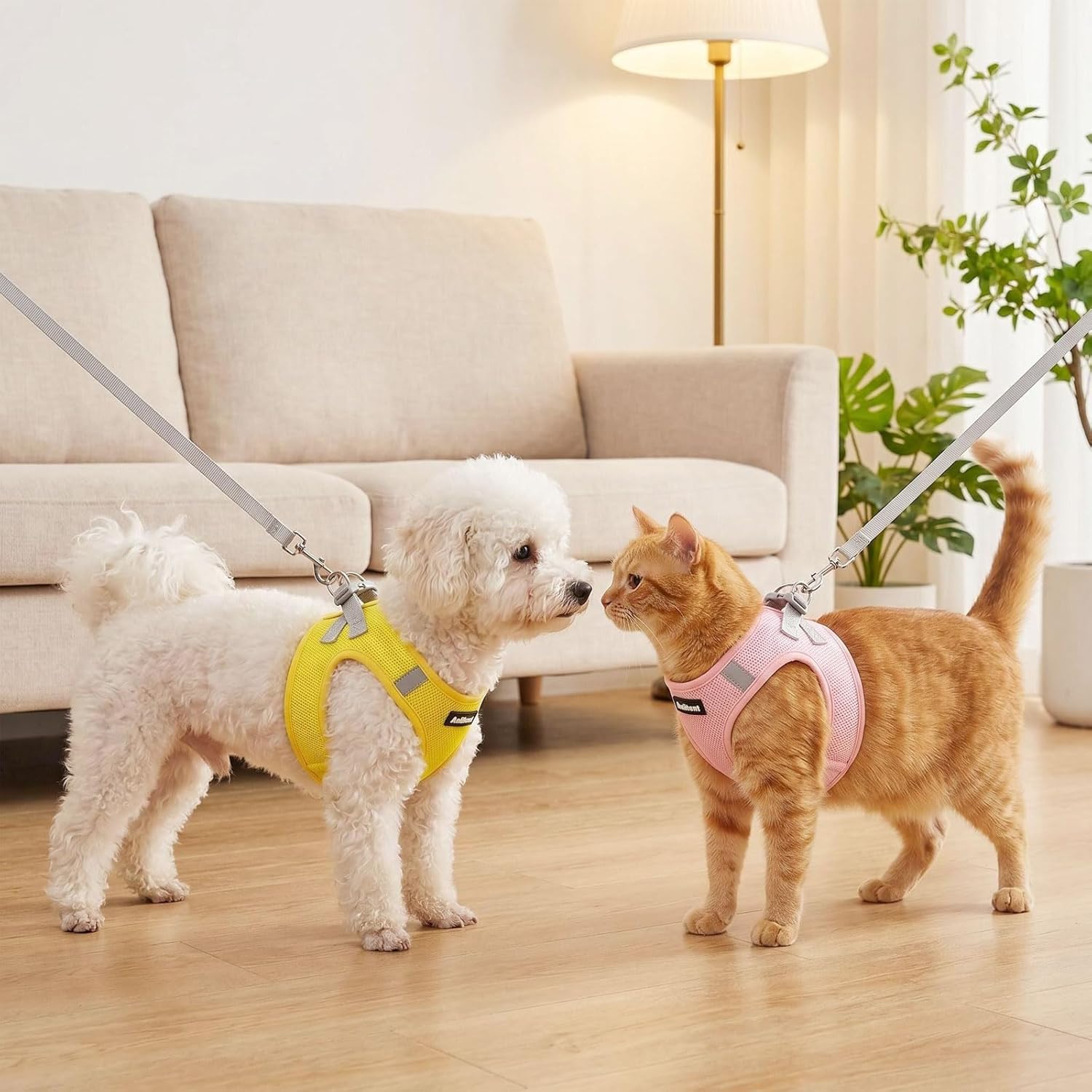 Detalle 2 de Anlitent Soft Mesh No Pull Cat/Puppy Harness and Lead Set (XS, Yellow) – Escape Proof for Small Dogs