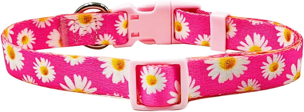 Detalle de Olahibi Dog Collar, Extra Small
