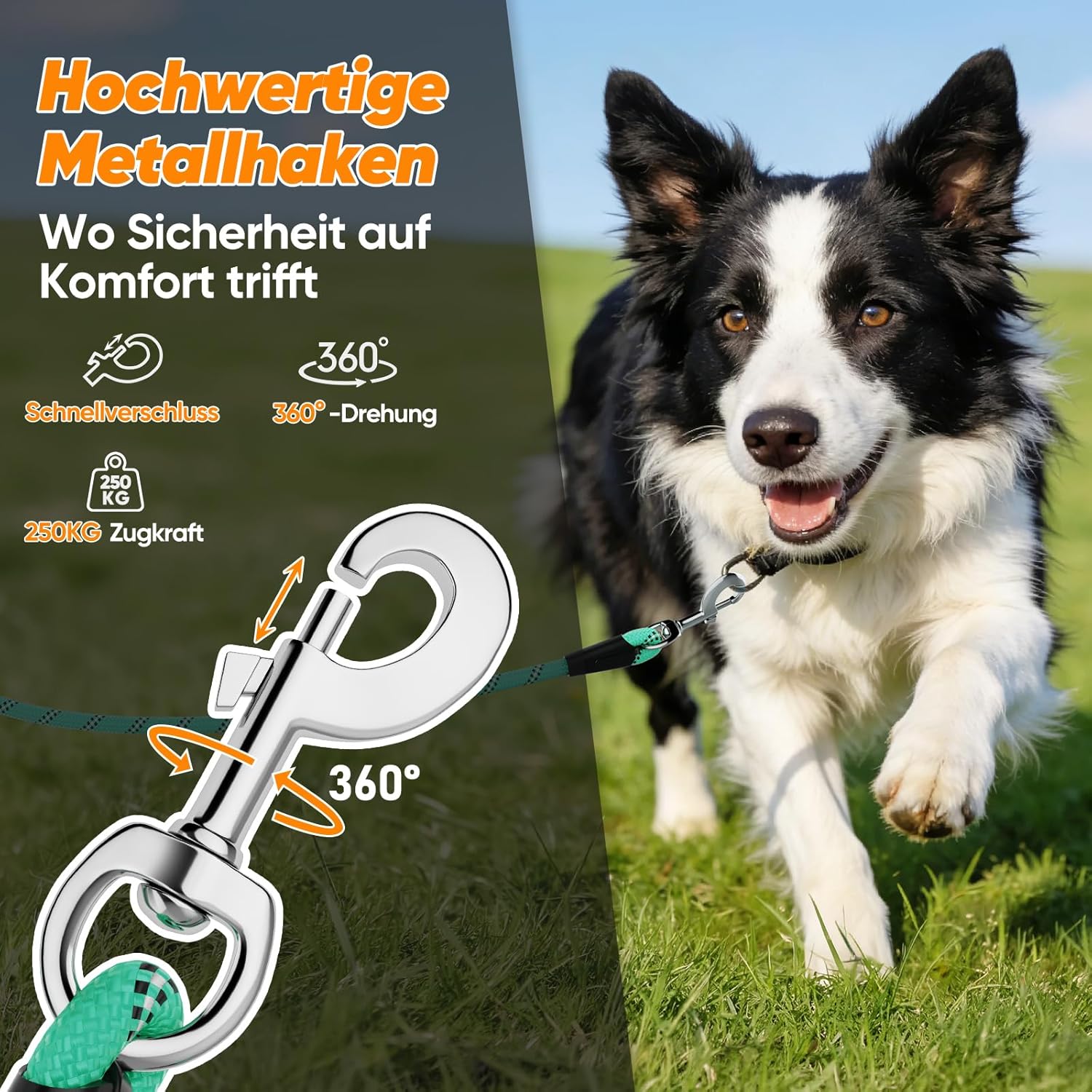 Thumbnail 5 de Aystkniet Schleppleine für Hunde – Laufleine mit Doppelwirbelhaken, Längen von 5 bis 30 m