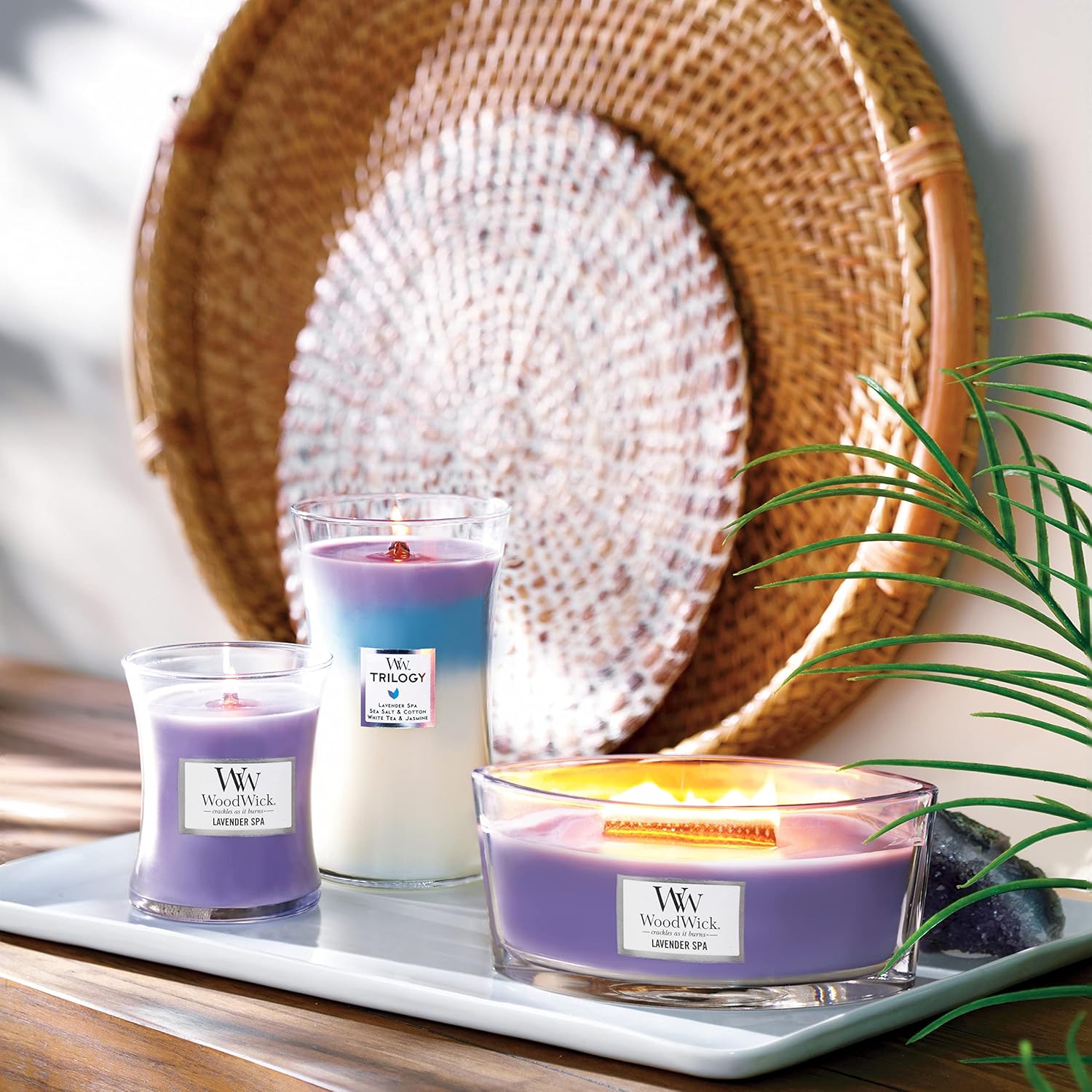 Thumbnail 5 de WoodWick Trilogy grande bougie jarre parfumée Séjour au calme – Lavande relaxante, Sel marin & Coton, Thé blanc et Jasmin
