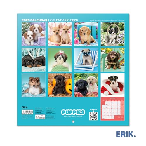 Thumbnail 1 de Grupo Erik Calendario 2026 Perros 30×30 cm 📅