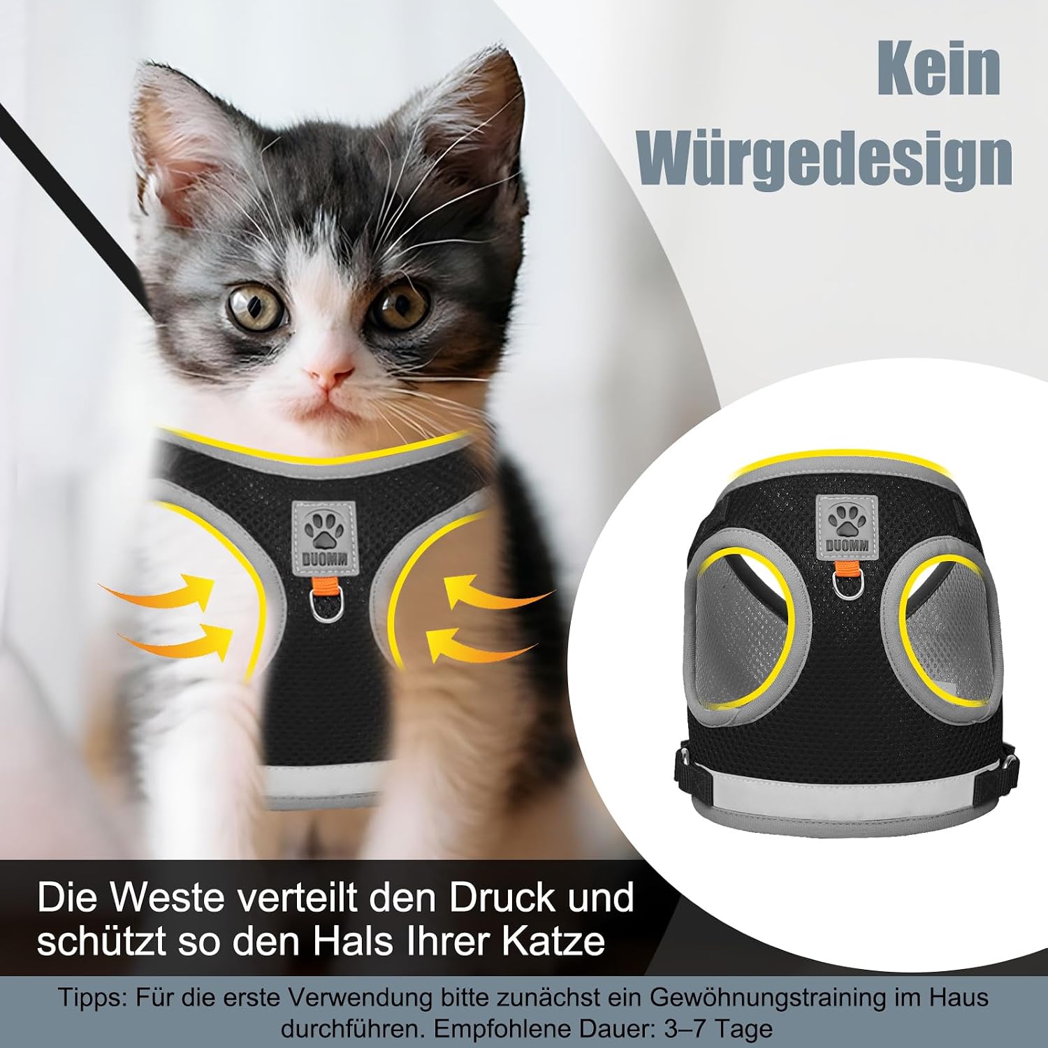 Thumbnail 3 de Bindokun Katzengeschirr S mit Leine 5 m 🐾