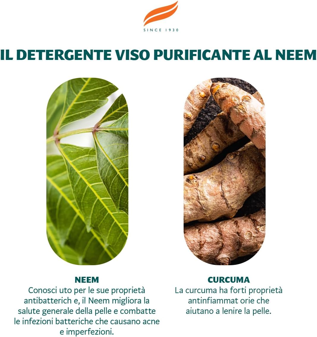 Detalle de HIMALAYA HERBALS Neem Gel Detergente Viso Purificante al Neem – 2 x 150 ml
