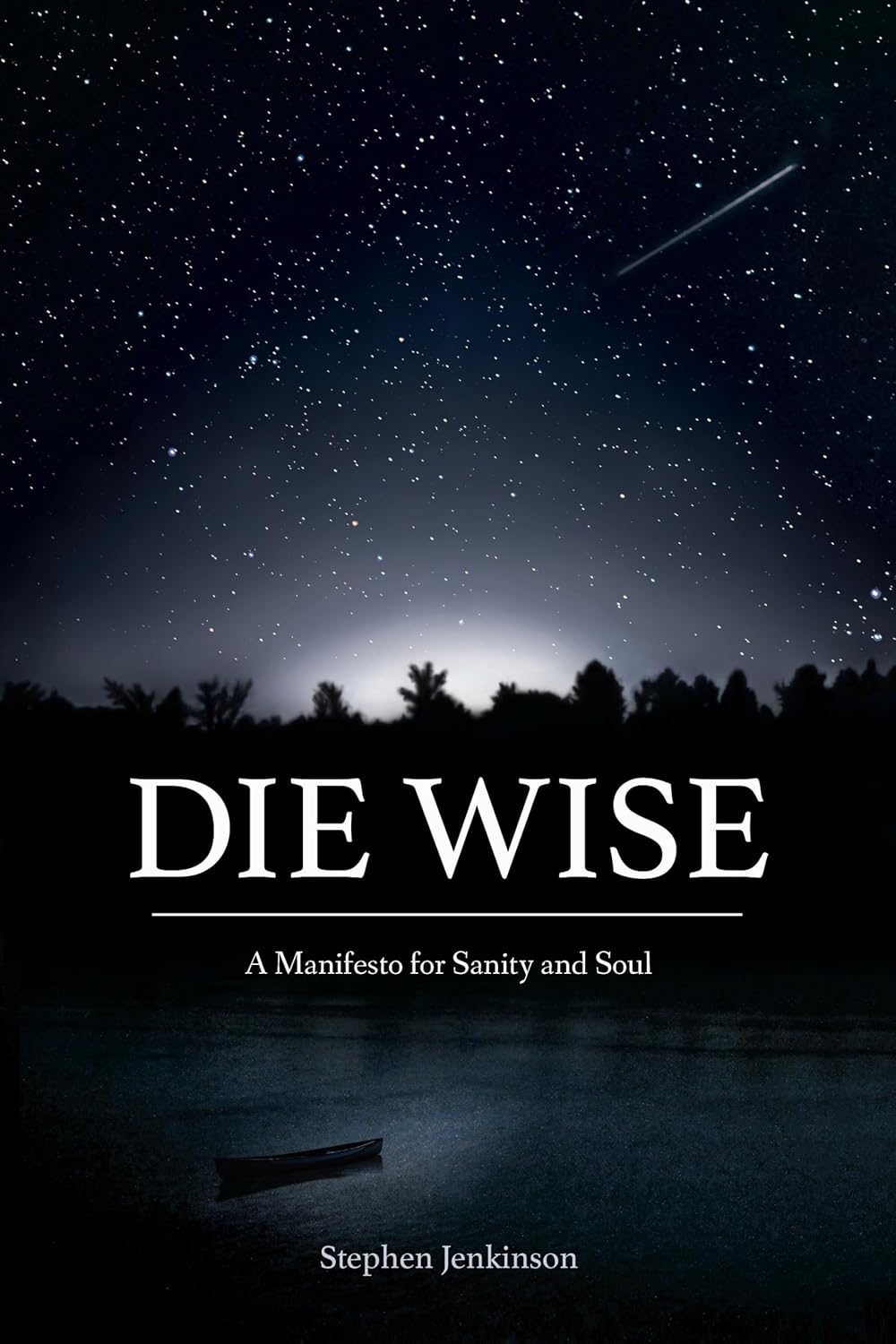 Detalle de Die Wise: A Manifesto for Sanity and Soul – boek, 416 pagina’s