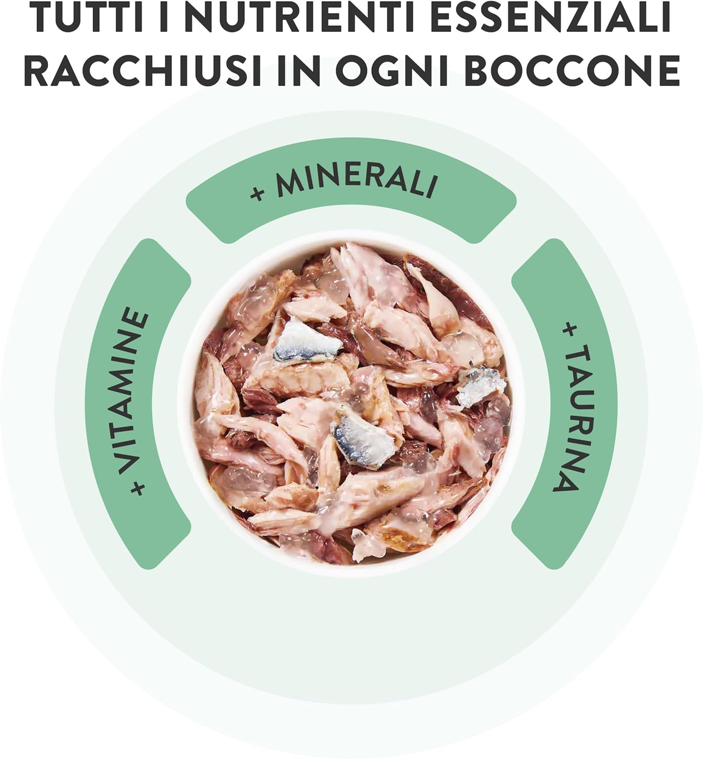 Thumbnail 6 de Schesir Filetti di Pollo con Spigola in Gelatina – Umido complementare per gatti (12 lattine da 70 g)