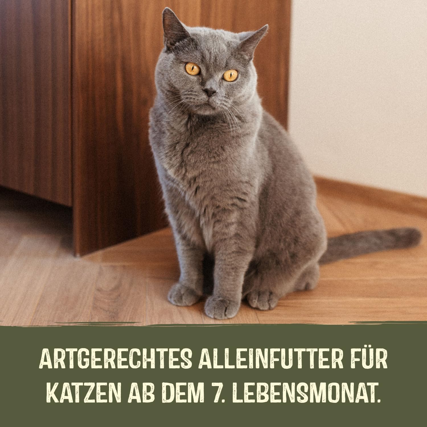 Thumbnail 6 de GimCat Near Nature Huhn – Getreidefreies Nassfutter für Katzen ab dem 7. Monat, 16 Beutel (16 x 85 g)