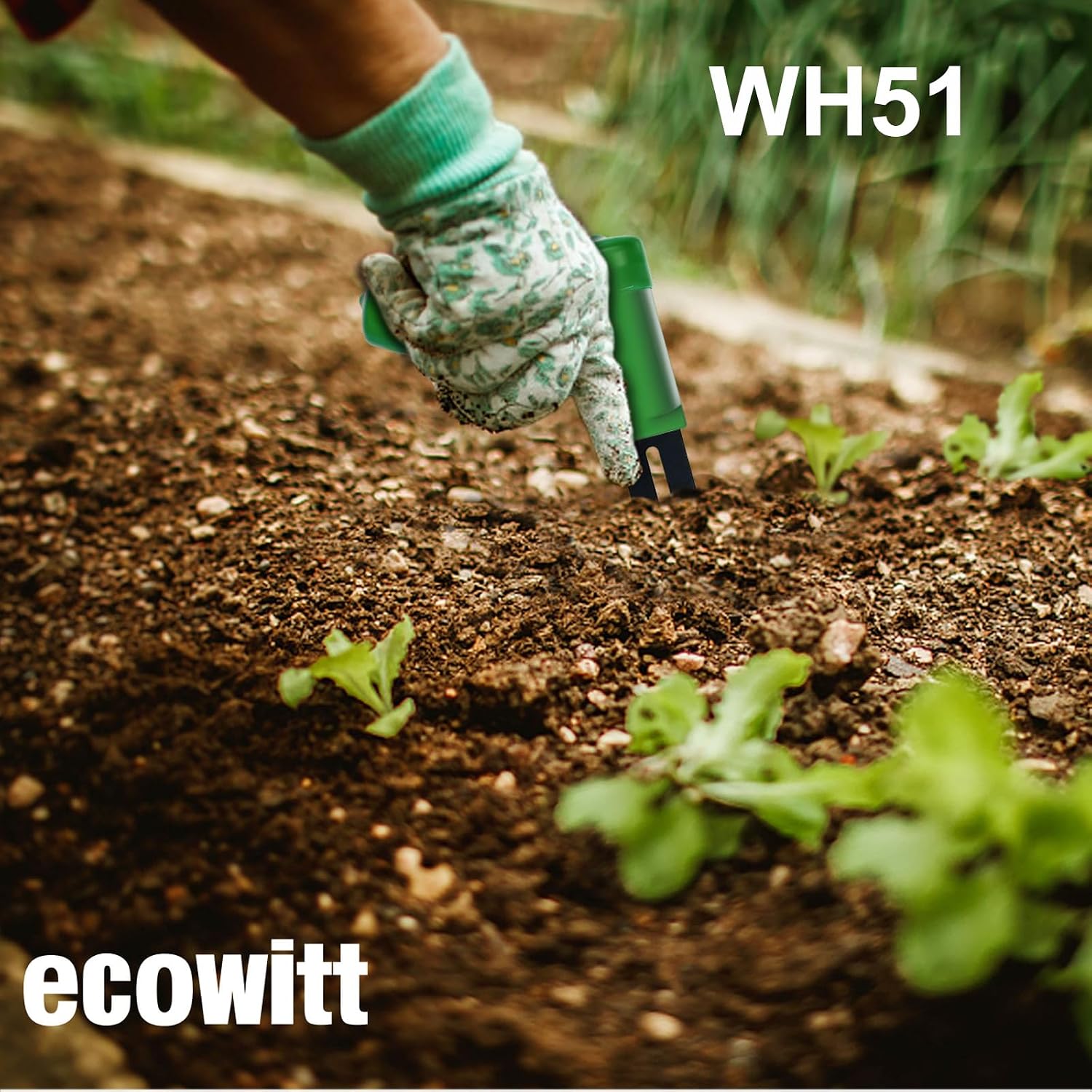 Thumbnail 5 de ECOWITT WH51 markfuktighetssensor, 4-pack med kapacitiv sond och IP66