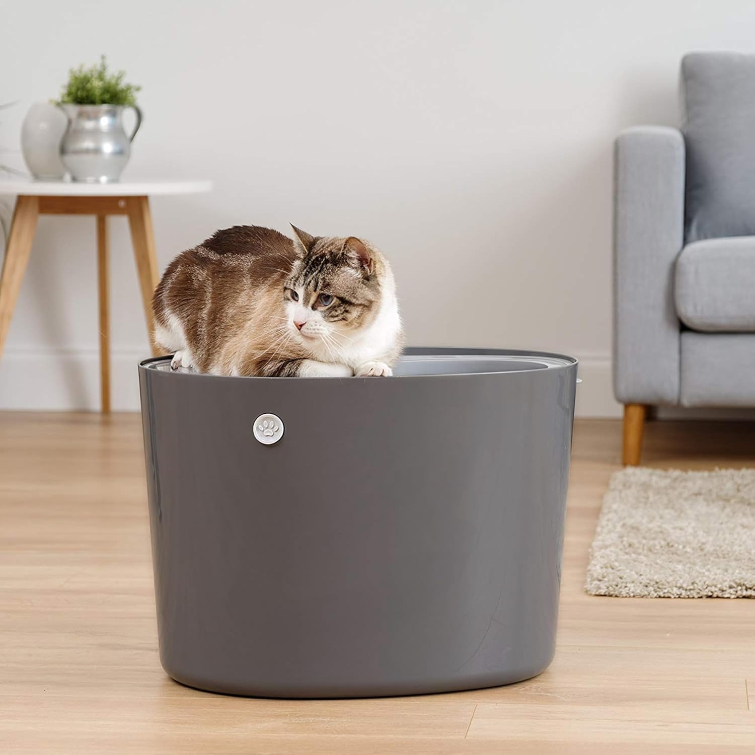 Thumbnail 2 de Iris Ohyama PUNT-530 lettiera per gatti 7 kg 🐱